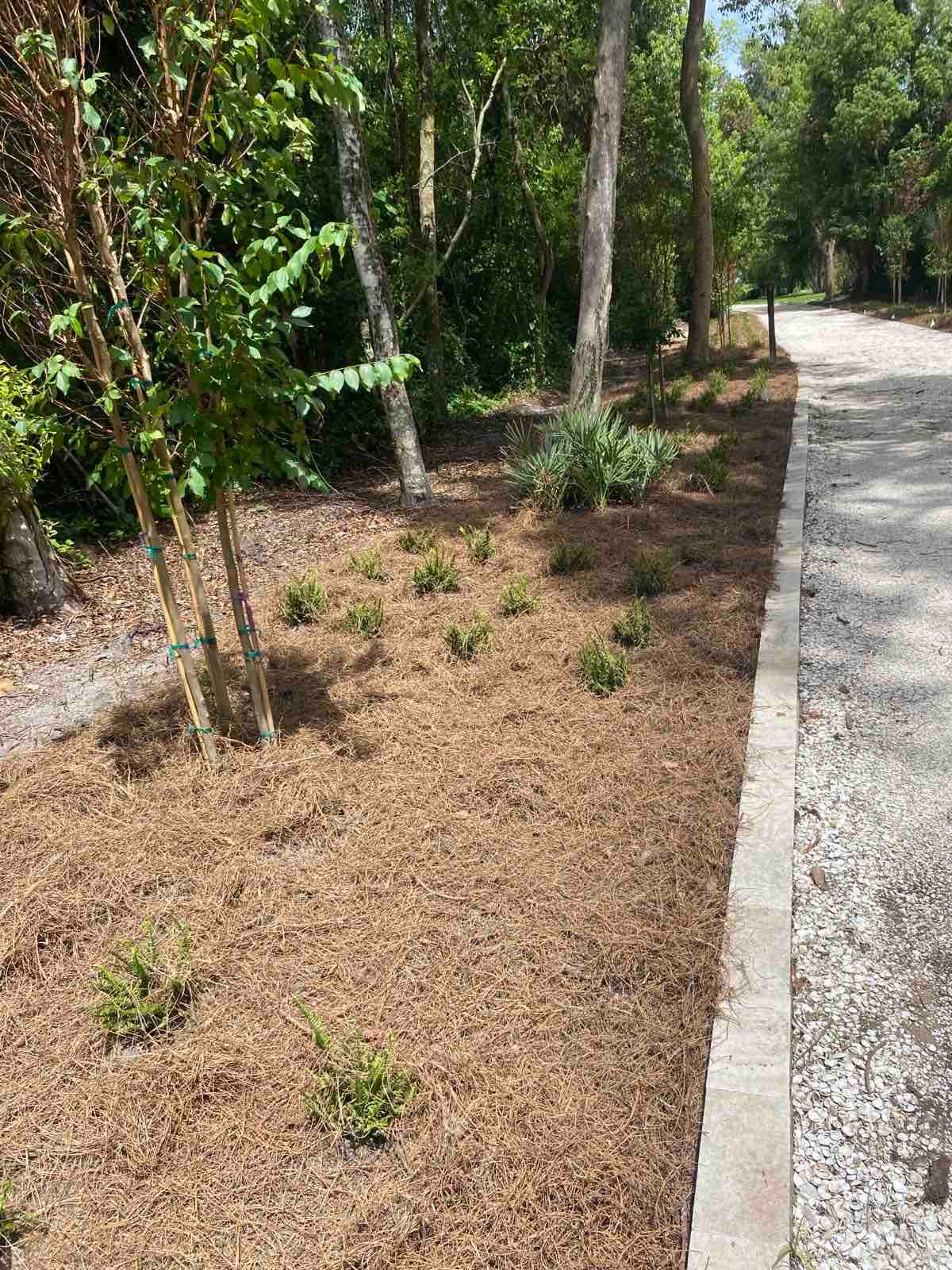 Landscape Install | Residence by ProGreen Services