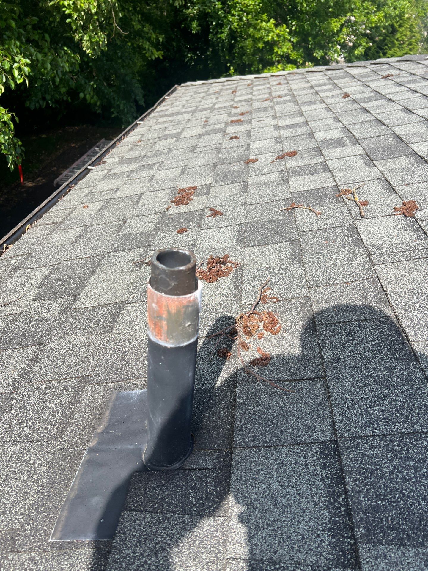 Project in Edmonds by Roofing Formula LLC