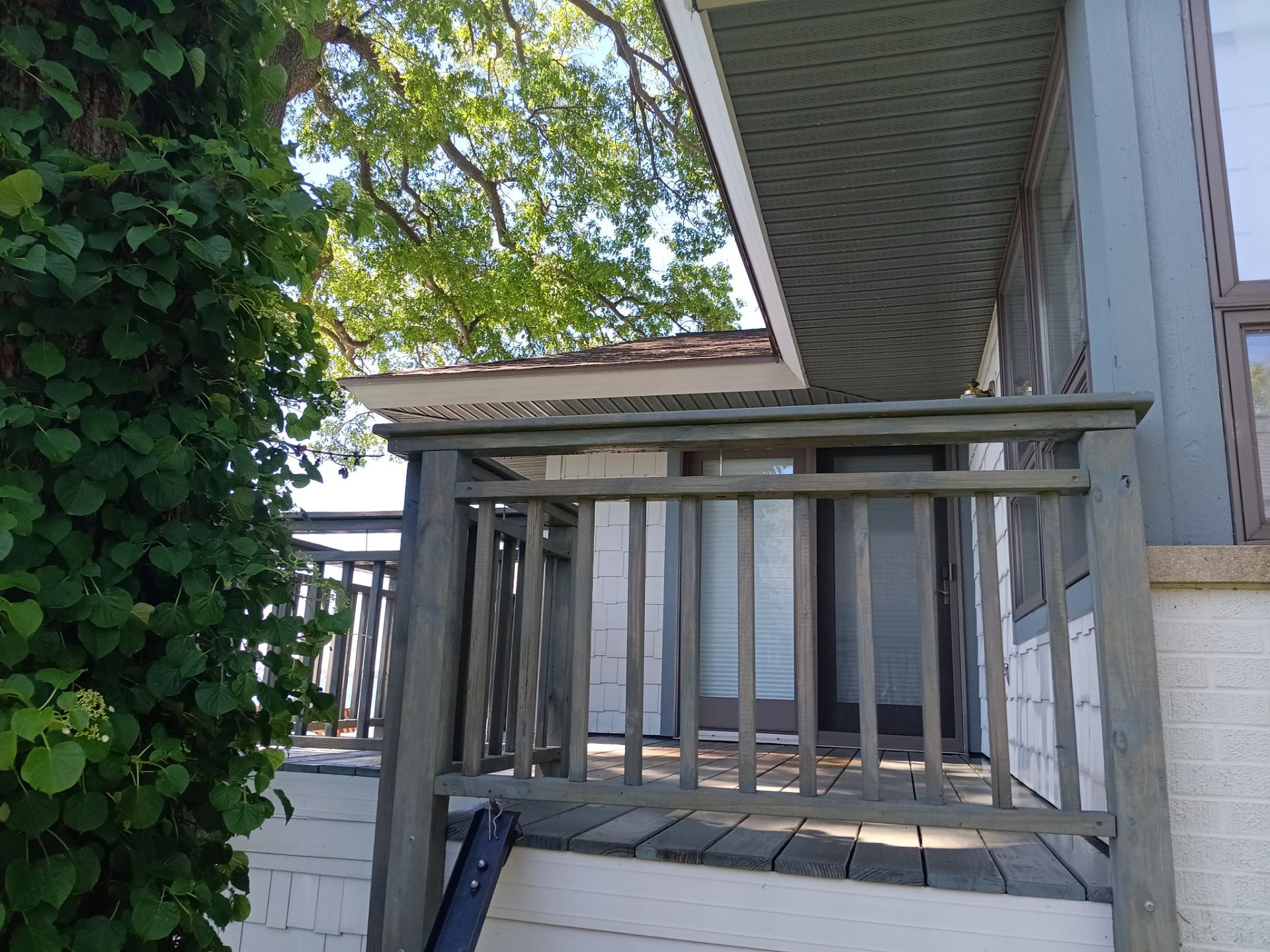 Deck Staining and Pressure Washing by Gordon Painting