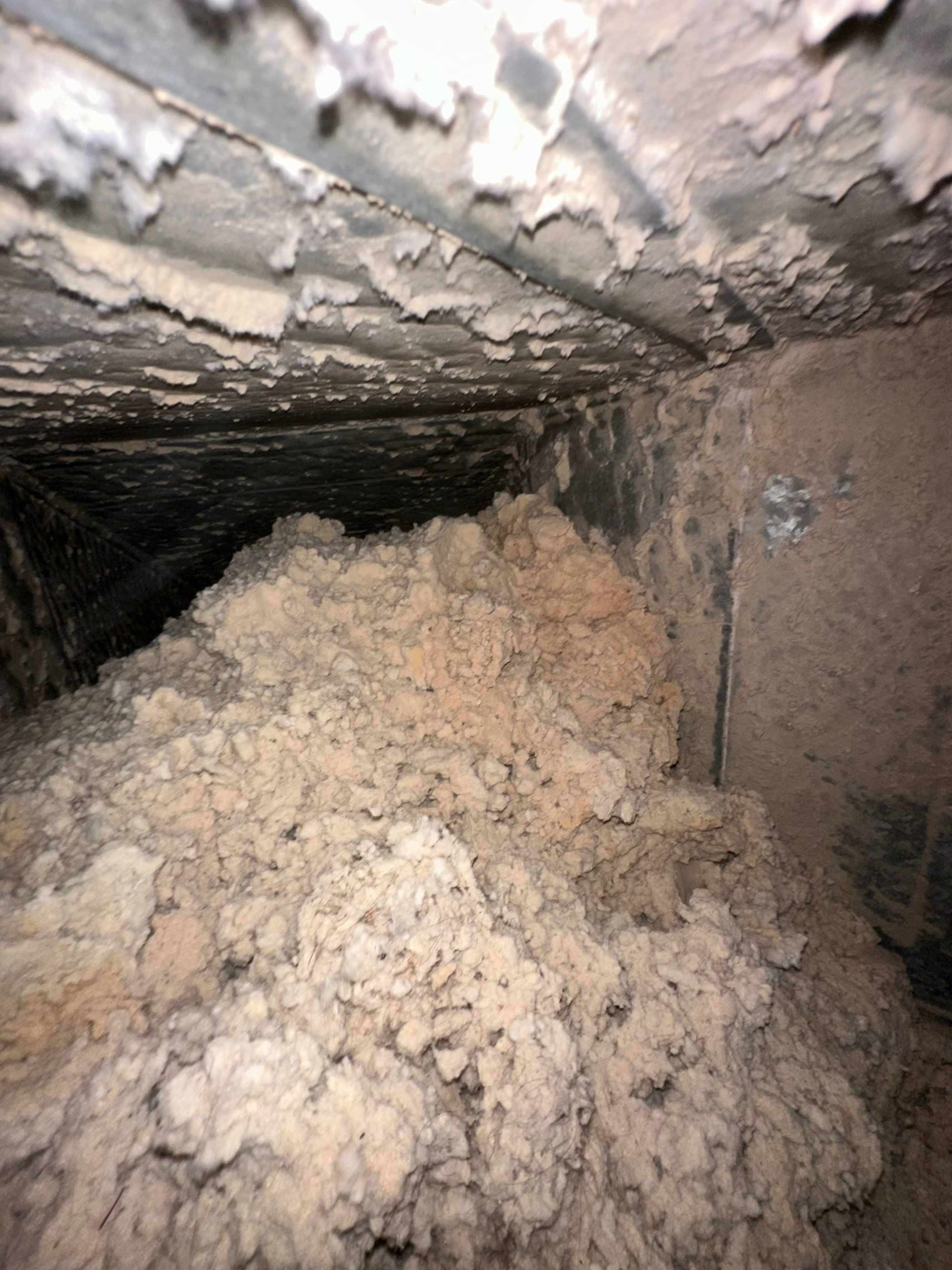 Hotel Laundry Room by Peach State Dryer Vents & Air Ducts