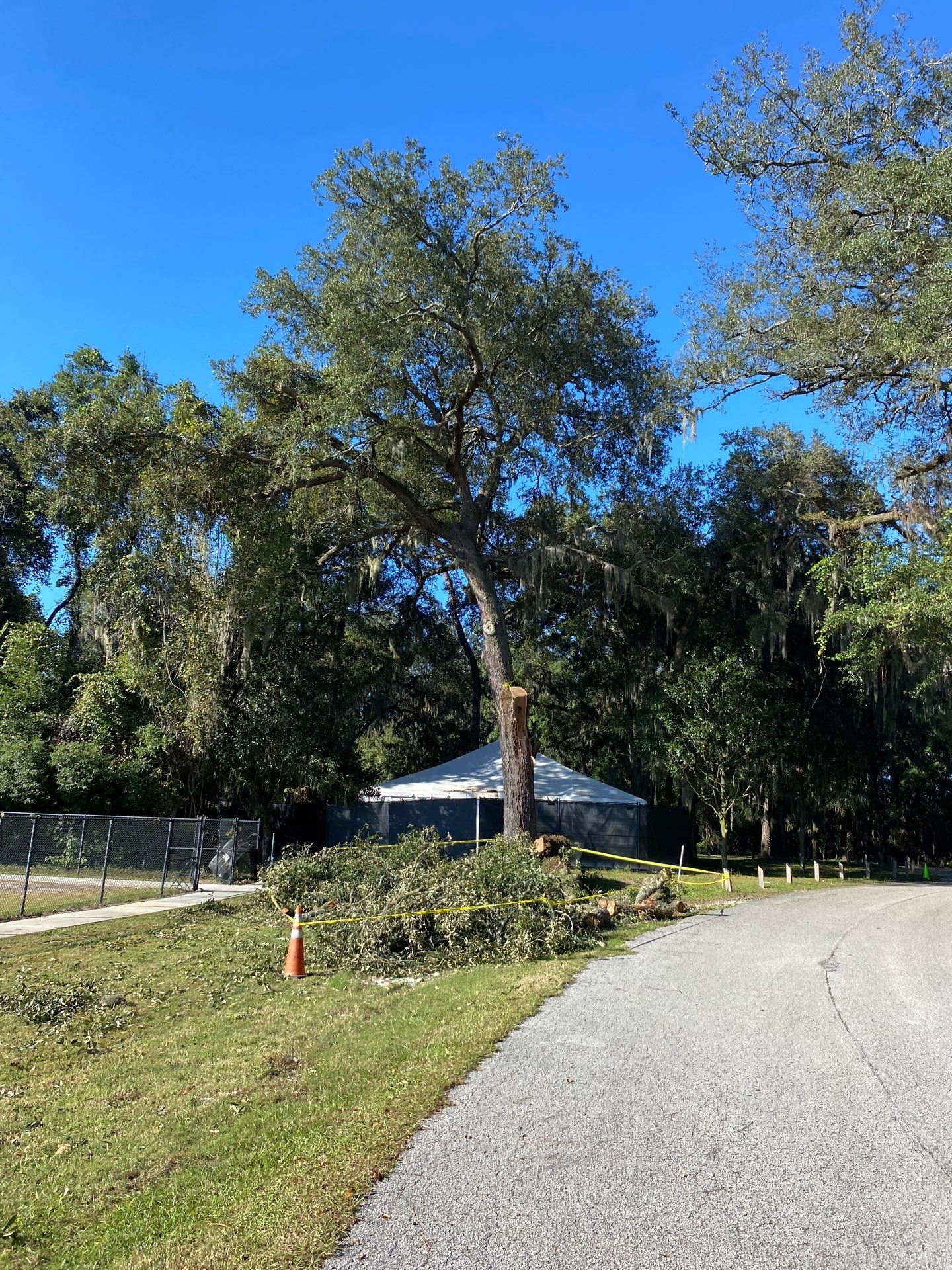 Episcopal | Large Tree Removal by ProGreen Services