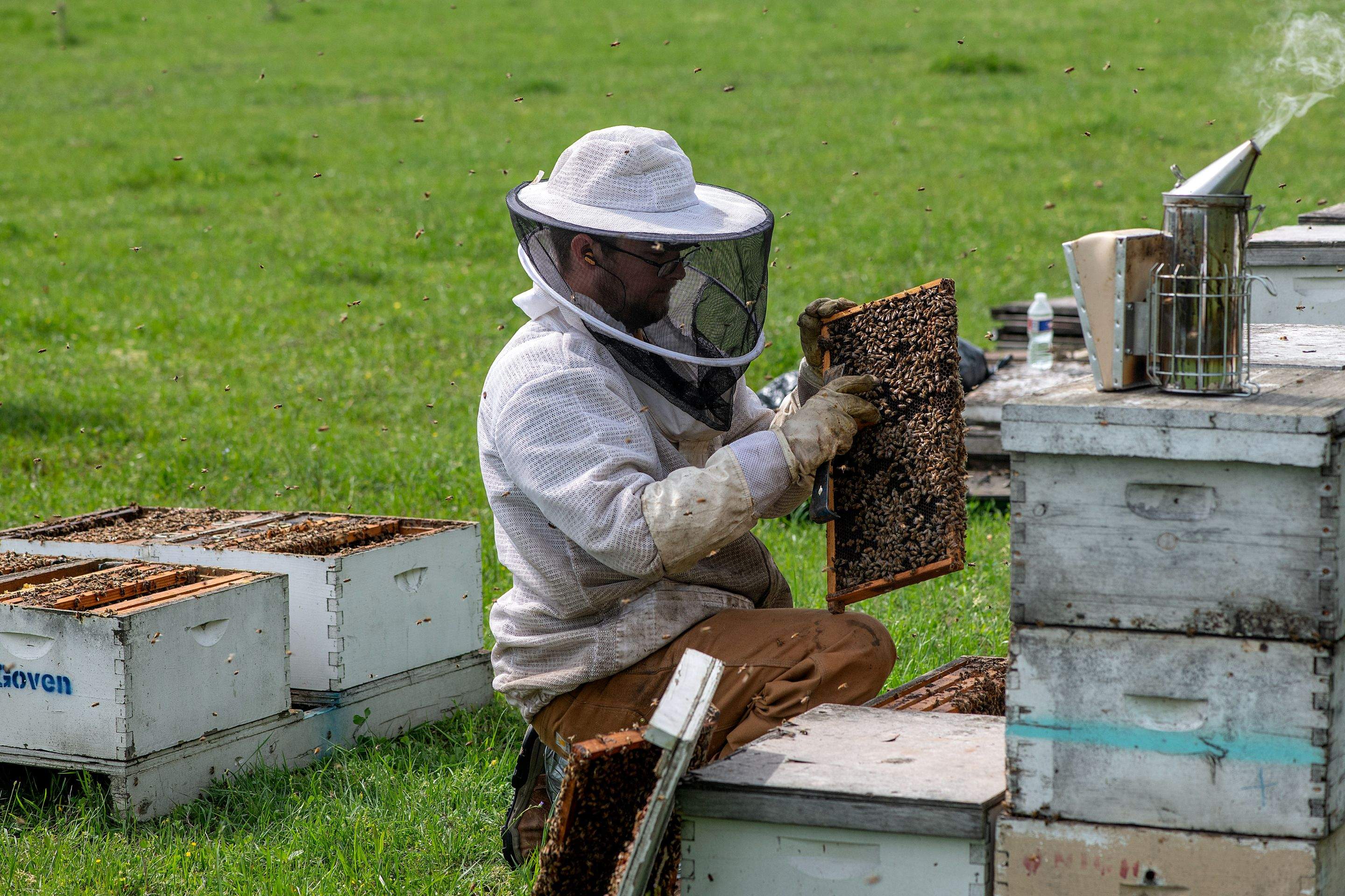 Splits in East Texas by Rockwall Honey Bee Company