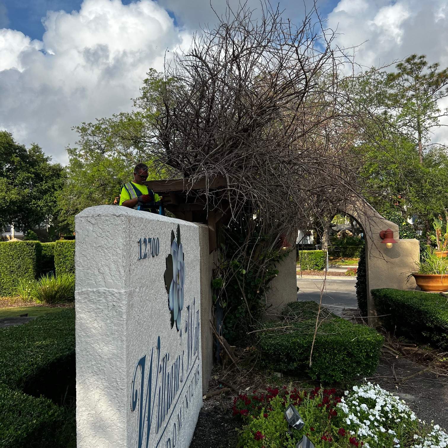William's Walk | Shrub Clean Out by ProGreen Services