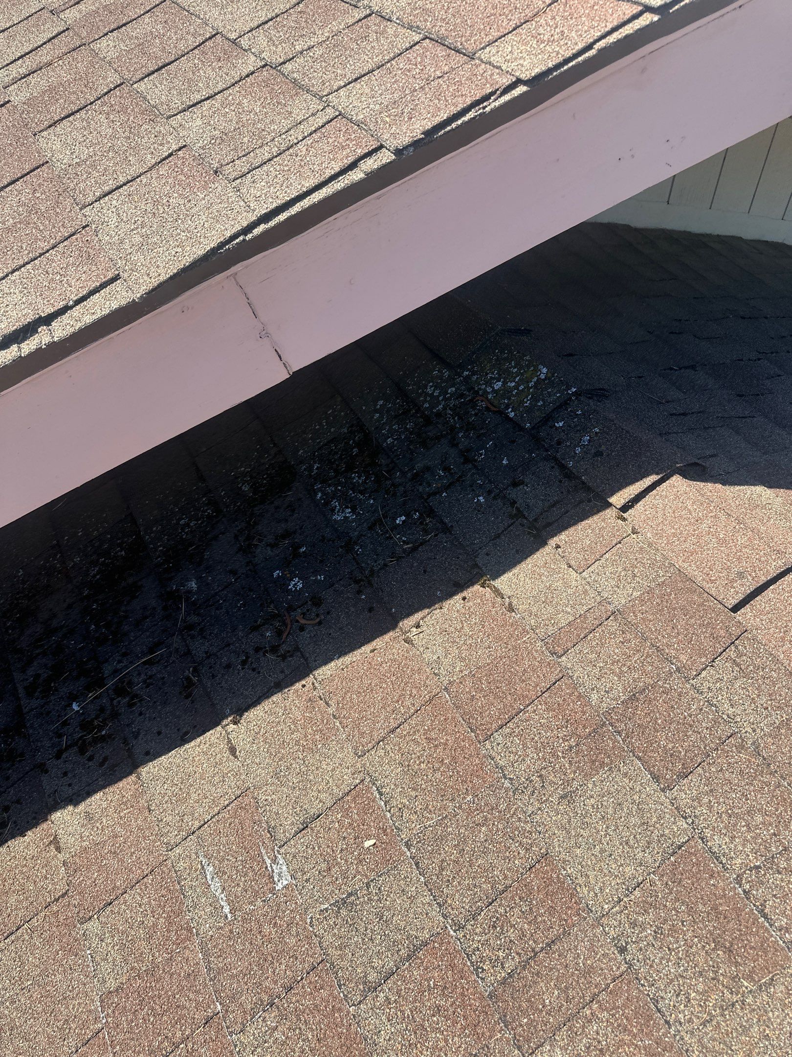 Roof Rejuvenation using Roof Maxx Treatment by Roof Maxx of Folsom