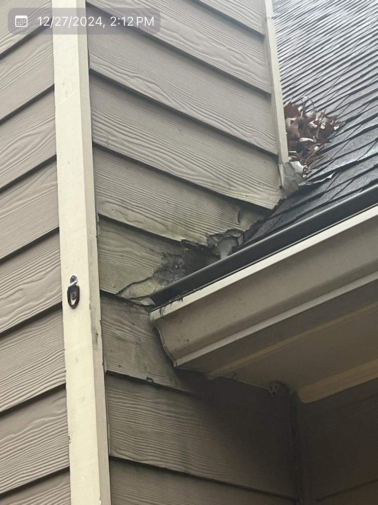 Exterior Painting, Rotted Wood Replacement, & Therma-Tru Door Installation by Nelson Exteriors 
