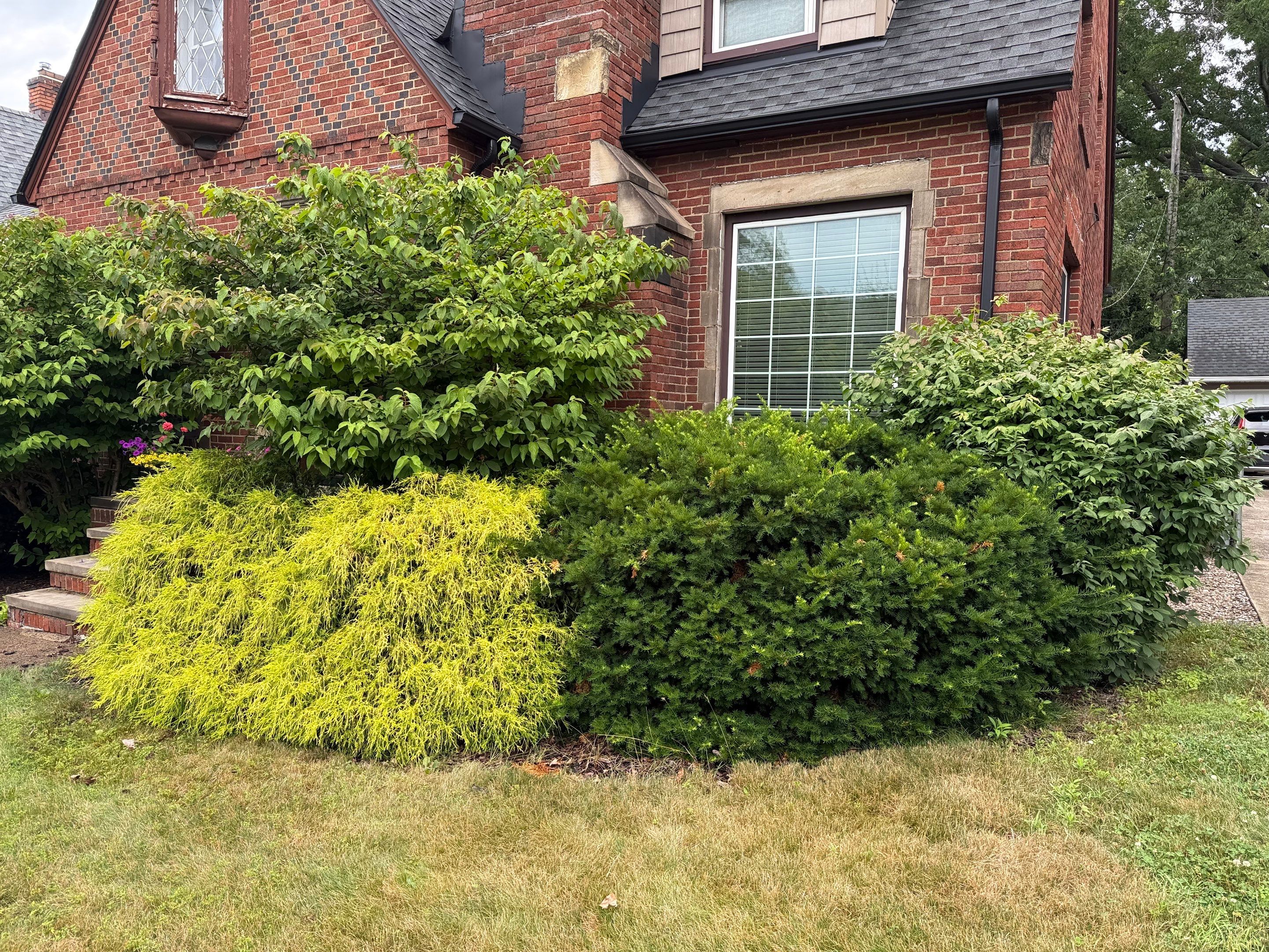 Grounds Maintenance by Elm Rose Gardens