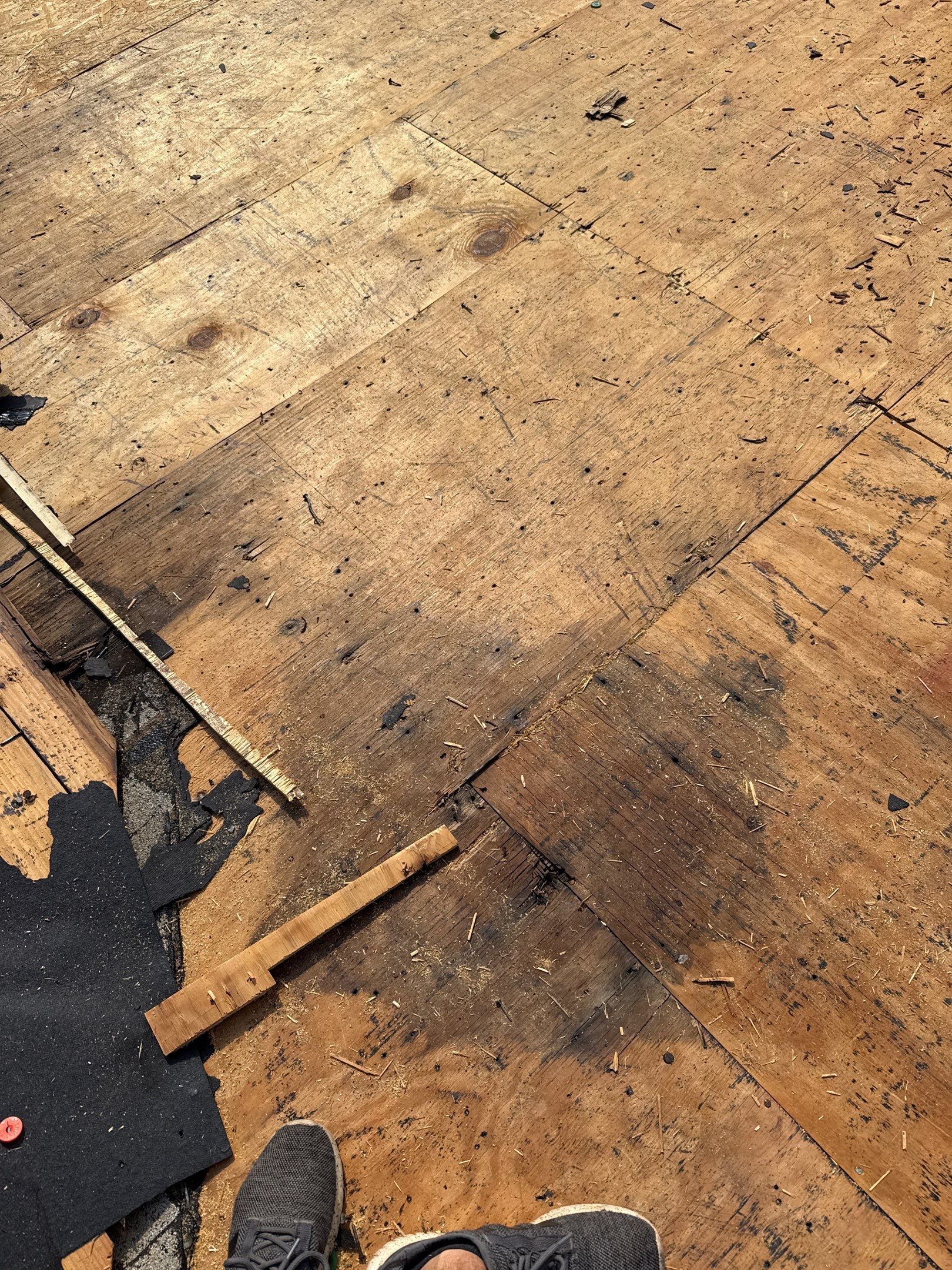 Dolly Ditchie by United Contracting and Roofing