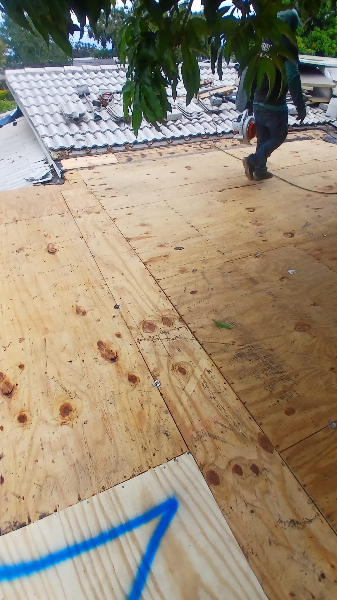 Project in Largo 33774 by Mitchell Roofing Company LLC 