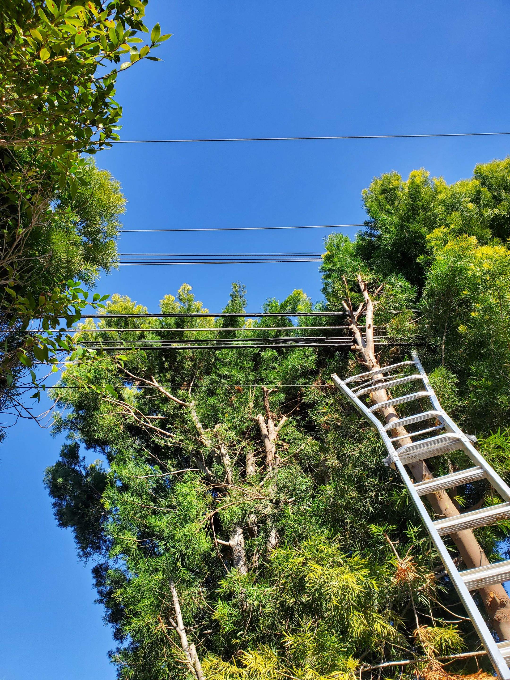 Pool Clearance issue by Peach Electric Inc