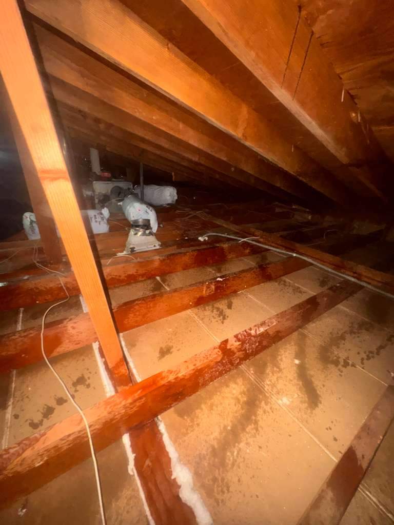 Project by Advanced Attic Solutions by Advanced Attic Solutions