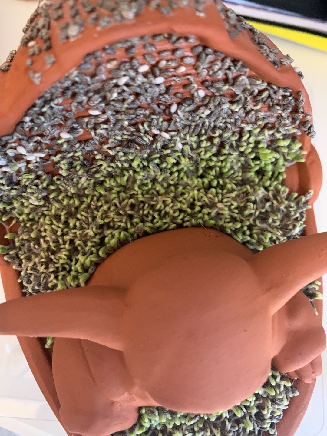 Residential Roofing Installation using Green by CompanyCam