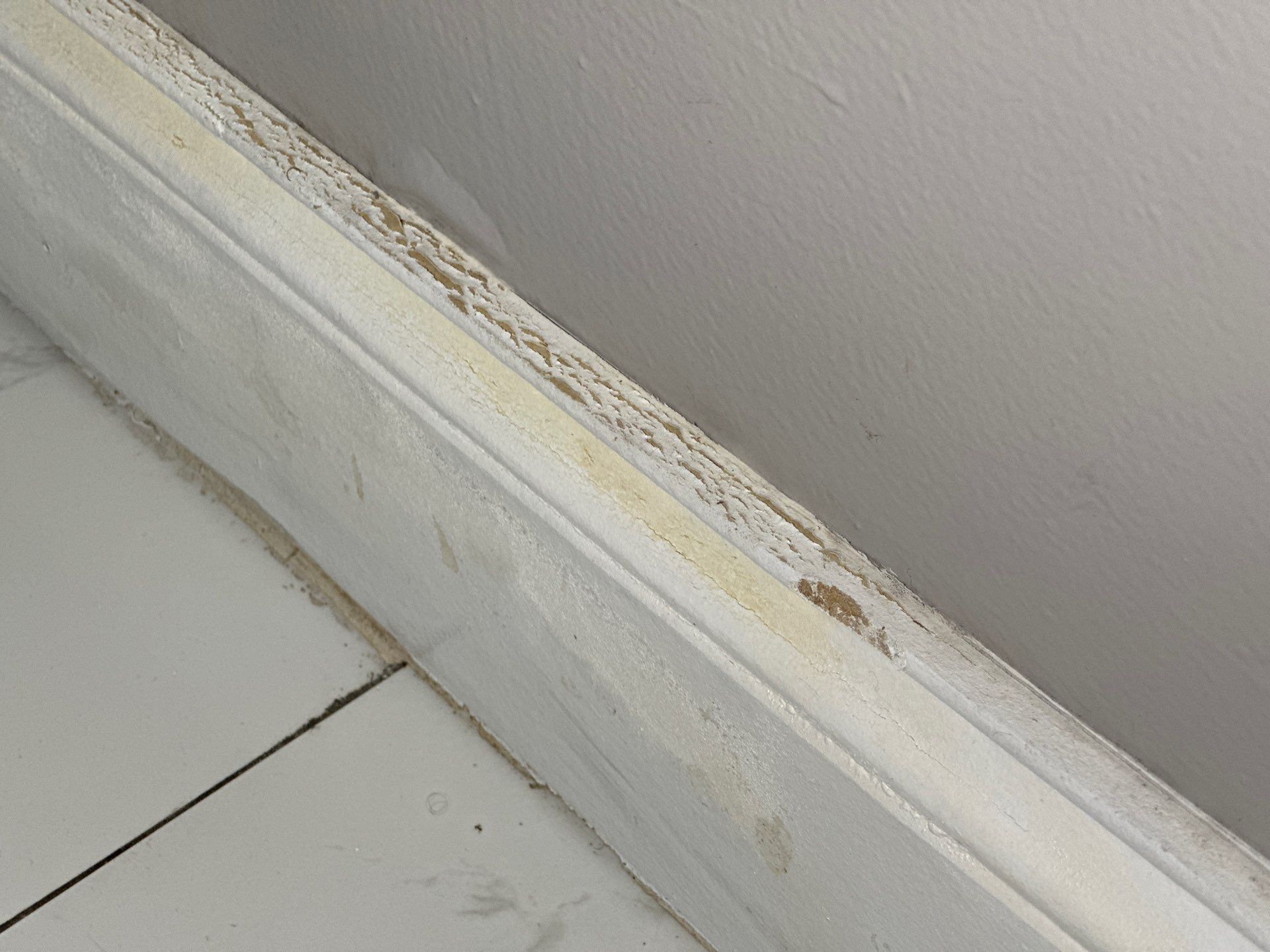 Water Damage Claim in Lauderhill by FLAPA & KeyStone