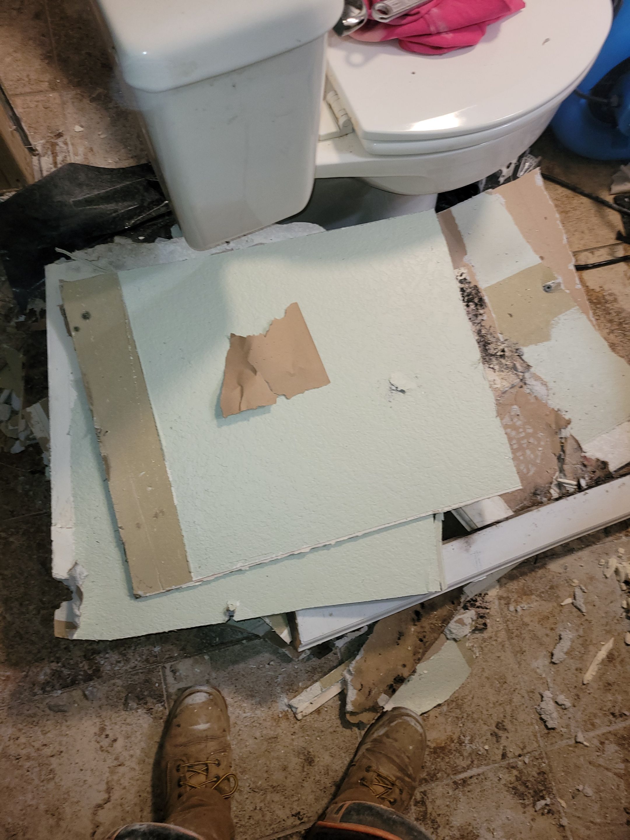 Water Damage and Mold Remediation by Accountable Home Services