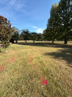 Private Utility Locating and GPR Survey for Residential Property in Collierville, TN