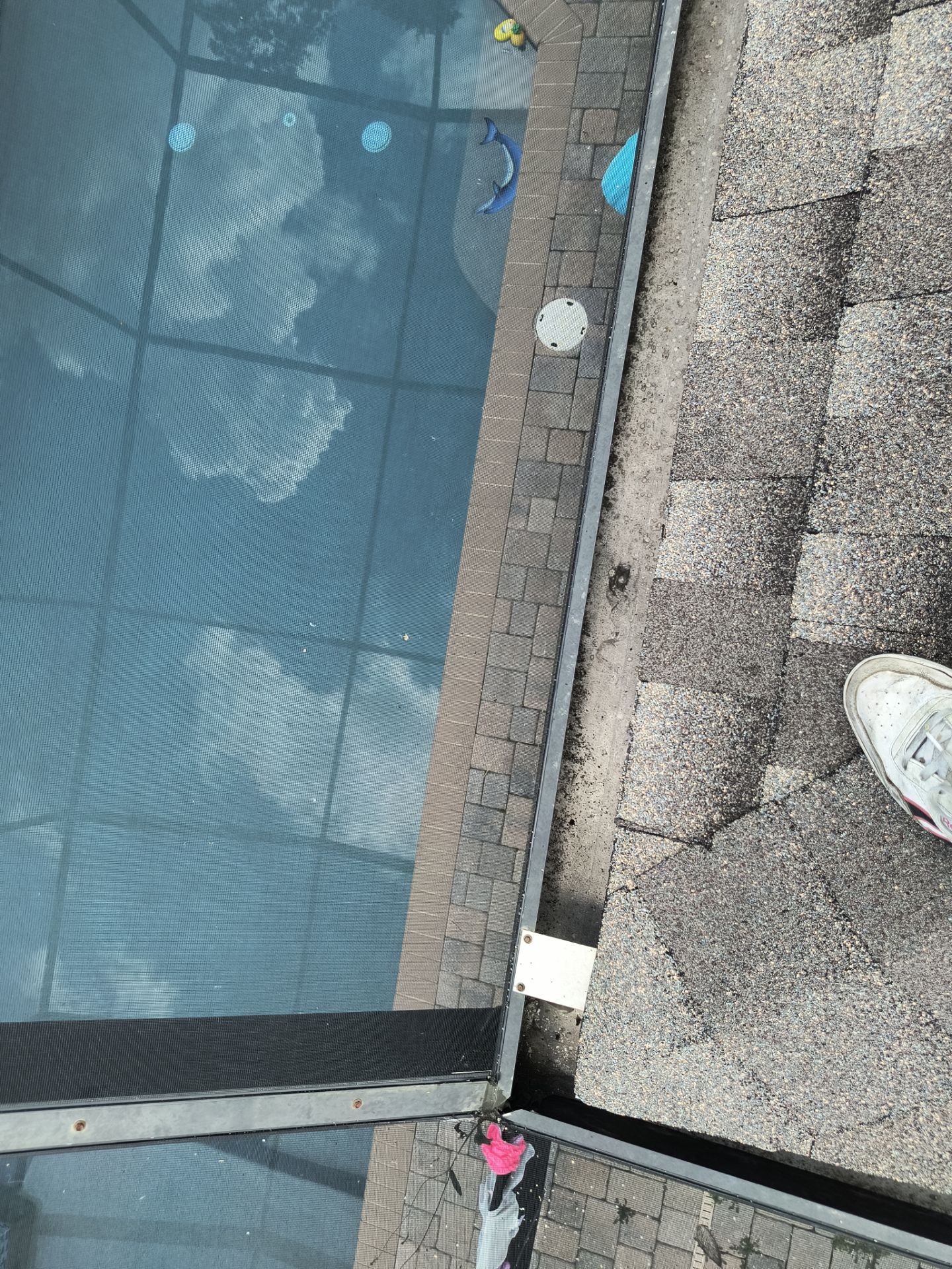 Professional Gutter Cleaning in Lutz FL by Gutter Professors