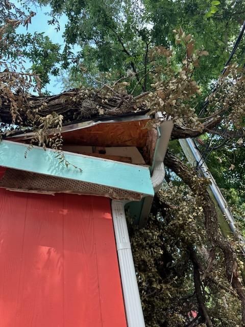 Tree Damage Roof Fascia and Soffit Repair by DeZign Roofing & Exteriors