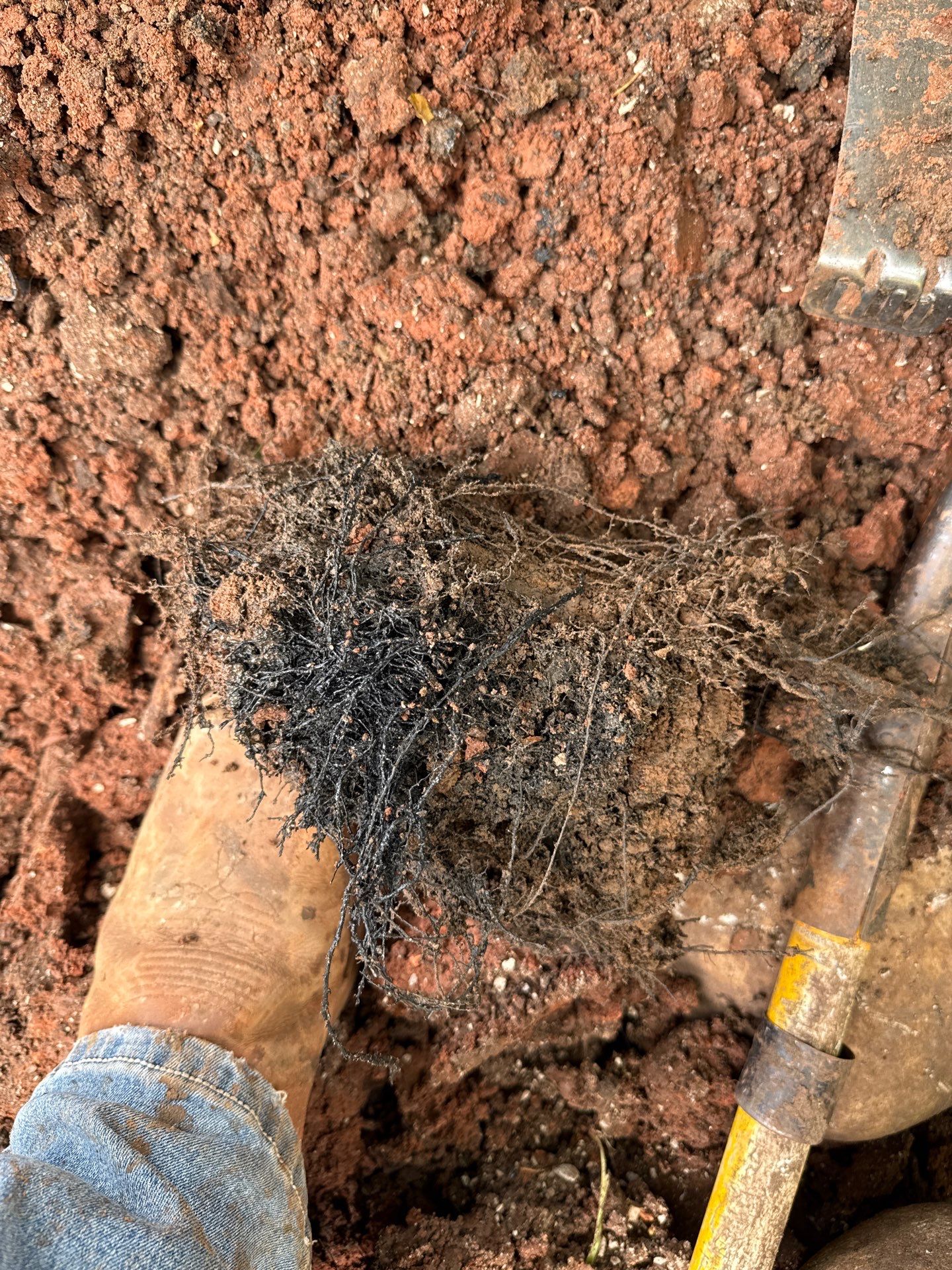 Project in Oklahoma City by PRO-ROOTER