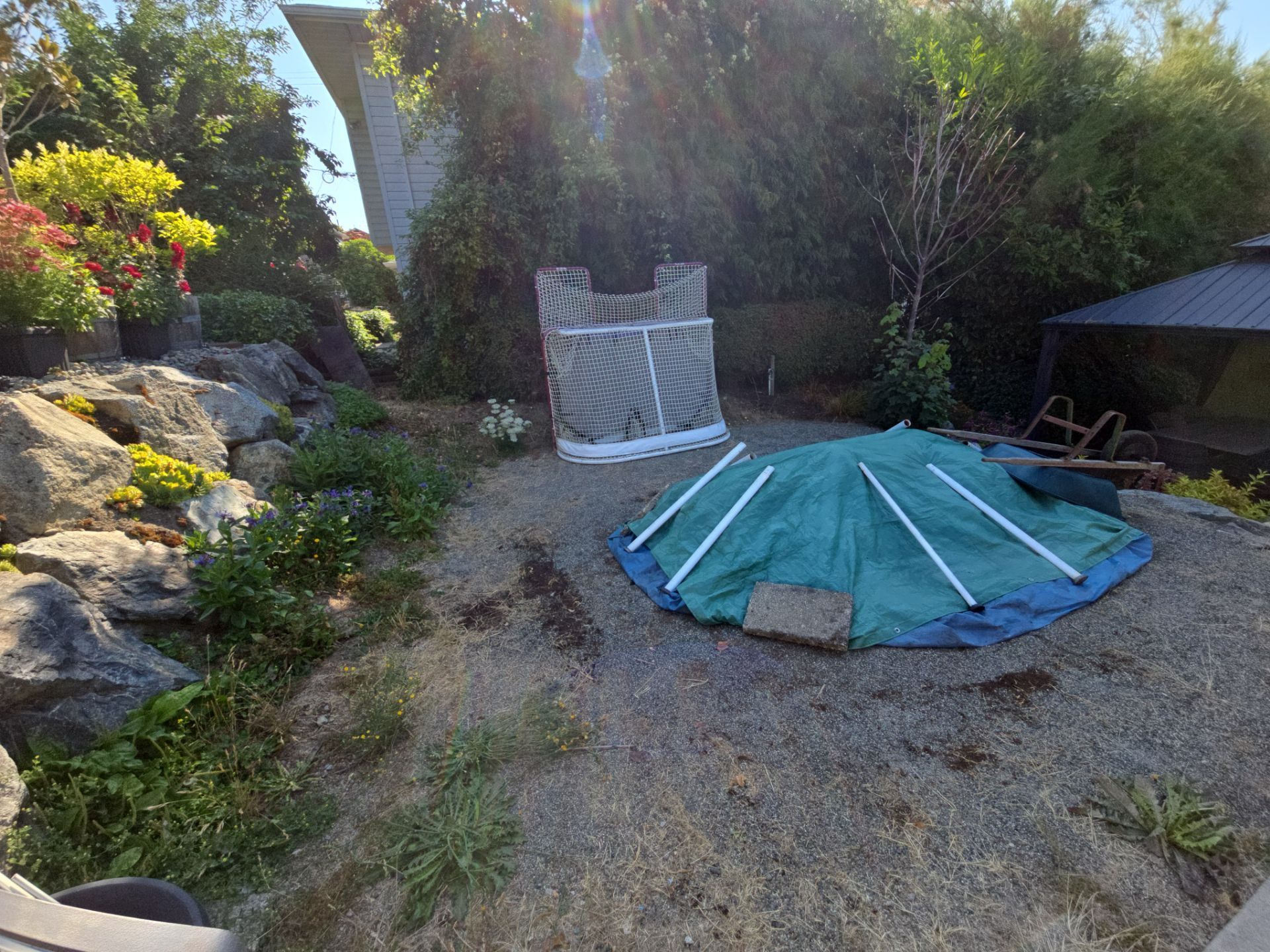 Backyard Transformation — Custom Shed, Paver Patio & Retaining Wall by Habanero Garden and Exterior Care