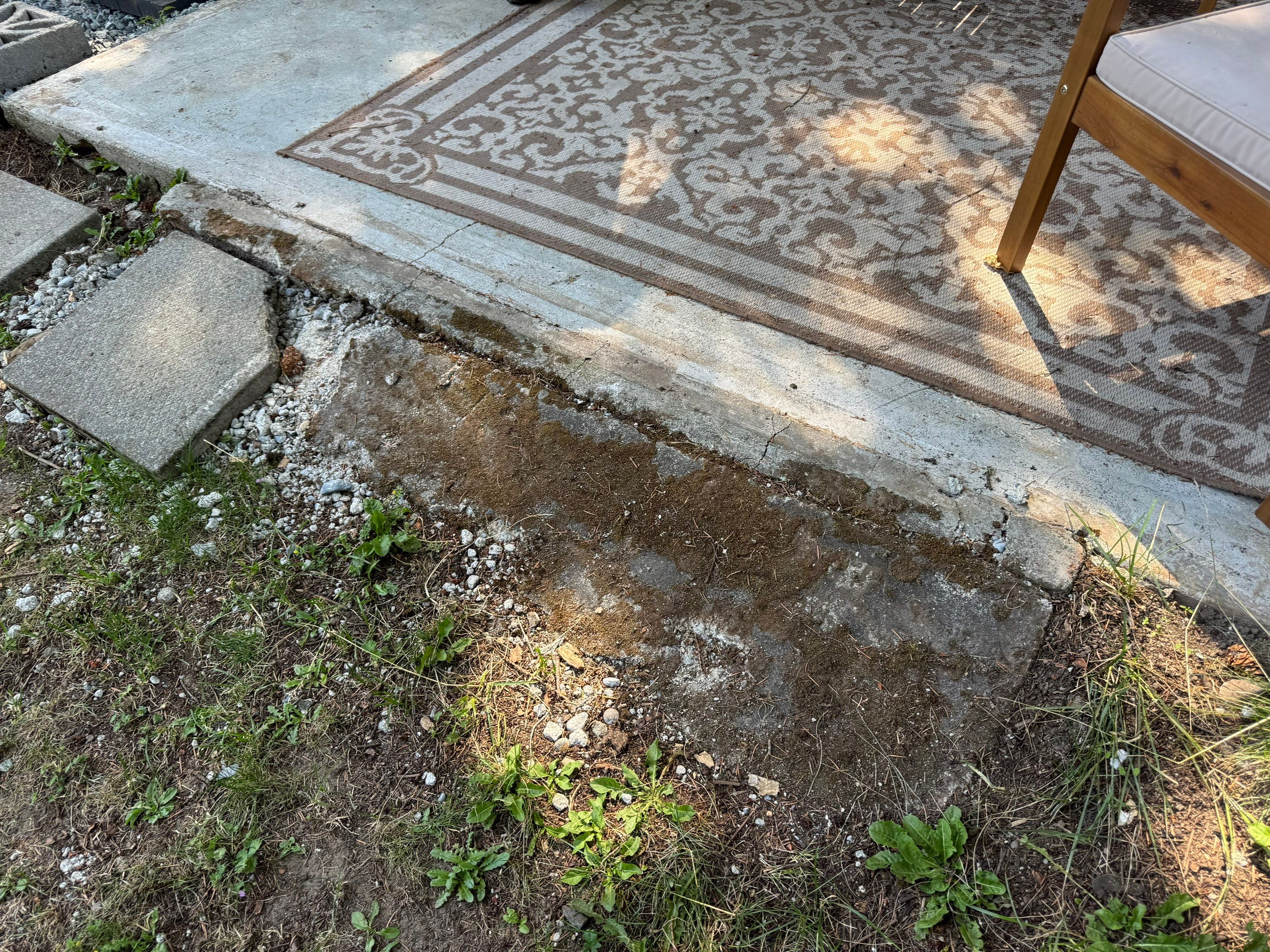 Backyard Refresh with Slab Installation & Garden Beds by Habanero Garden and Exterior Care