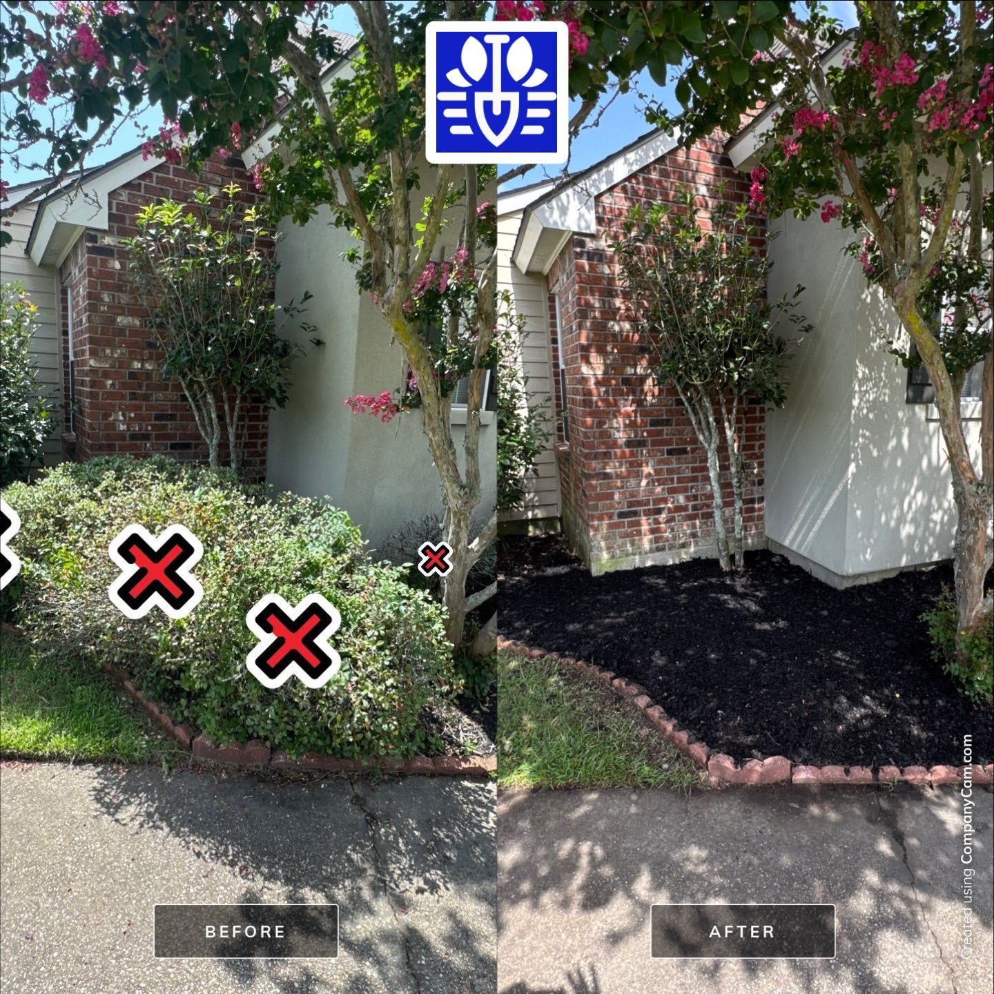 LANDSCAPE SERVICES: SHRUB REMOVAL / MULCH INSTALL by CutScape, LLC.