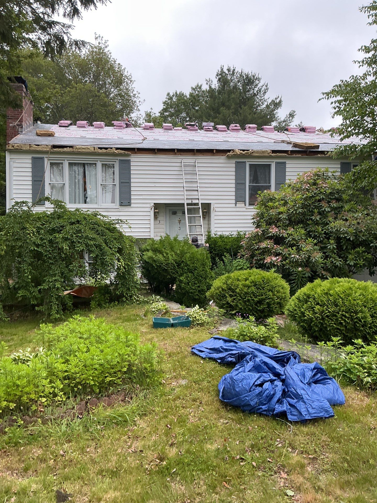 Gutters & Roofing | Acton by Mighty Dog Roofing of Greater Middlesex County