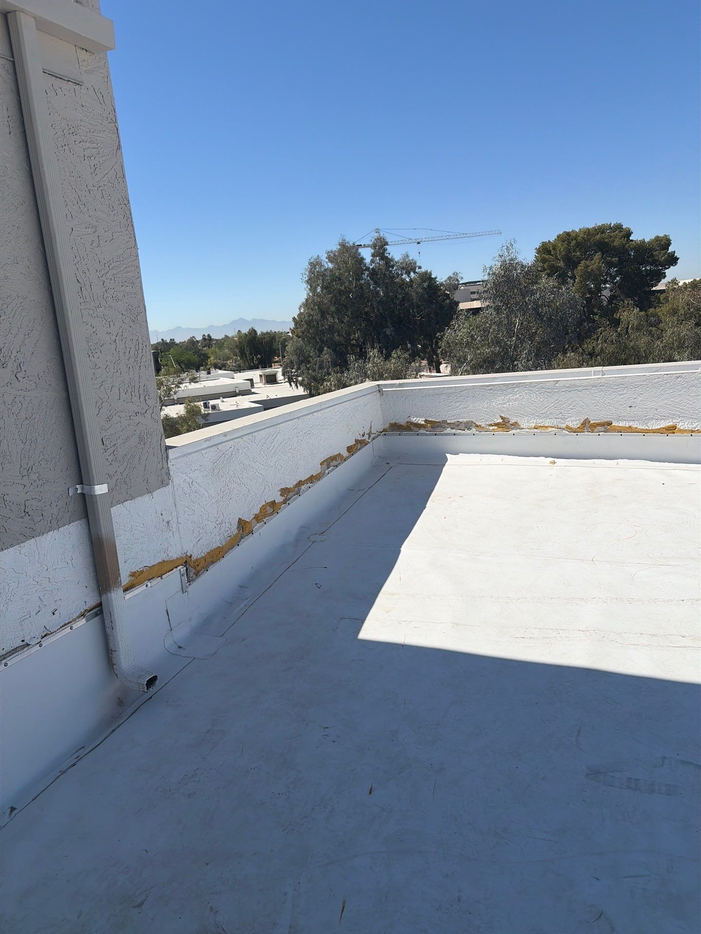 Project in Glendale by Crush Development Services LLC
