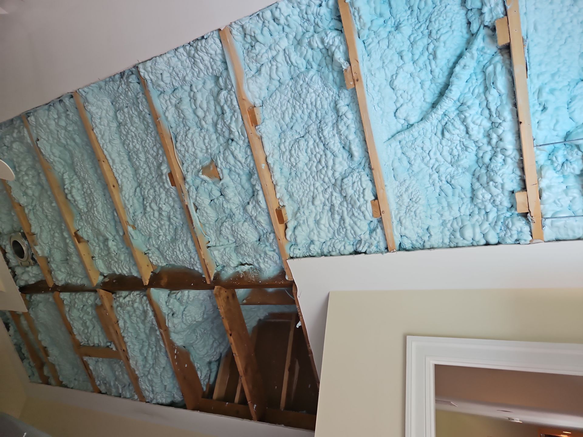 Project in Alexandria, VA by Founders Insulation