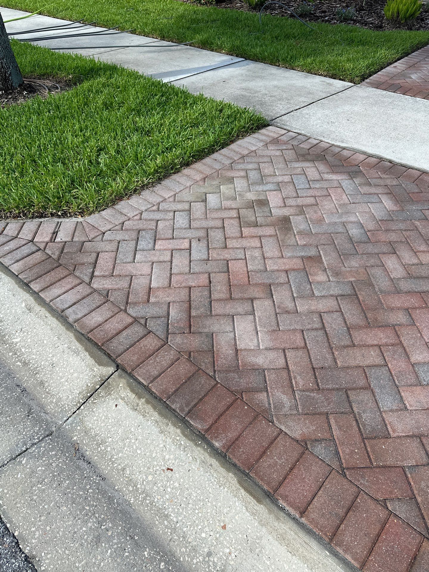 Full Paver Restoration in Valencia Lakes Wimauma by Supreme Paver Experts