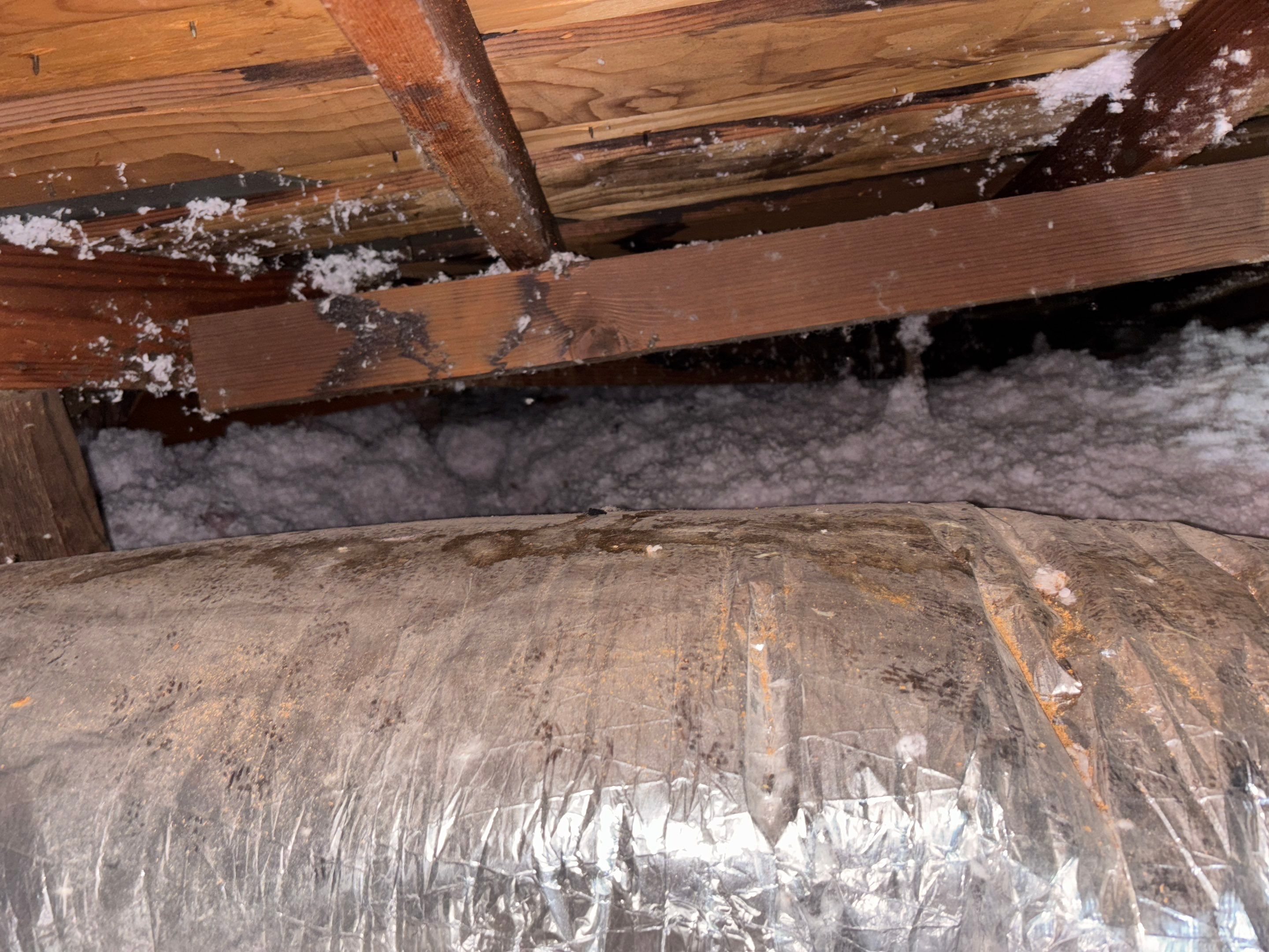 Project in La Puente by Insulation Labs