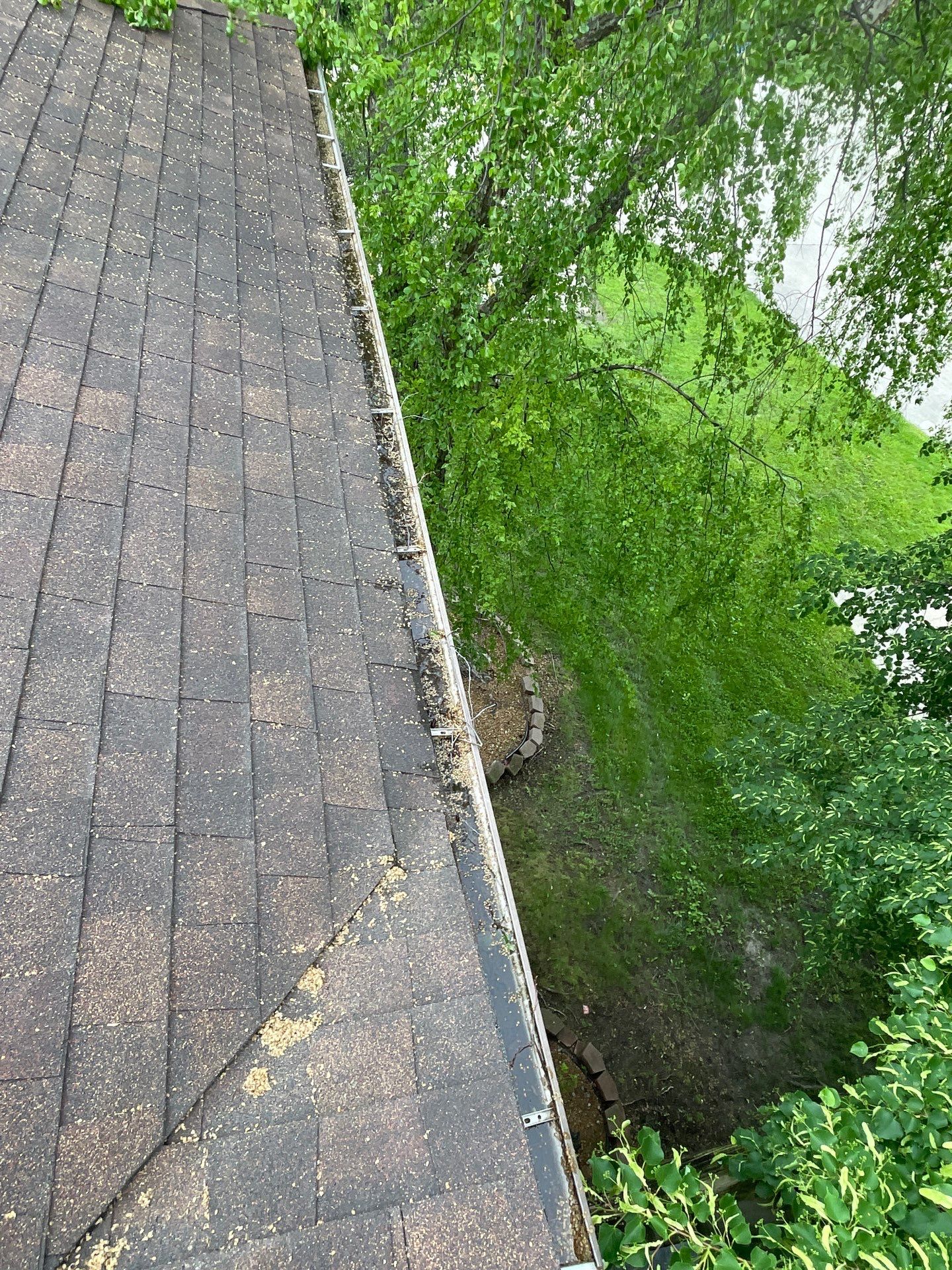 Commercial gutter cleaning Springfield, IL before photo with filled gutters