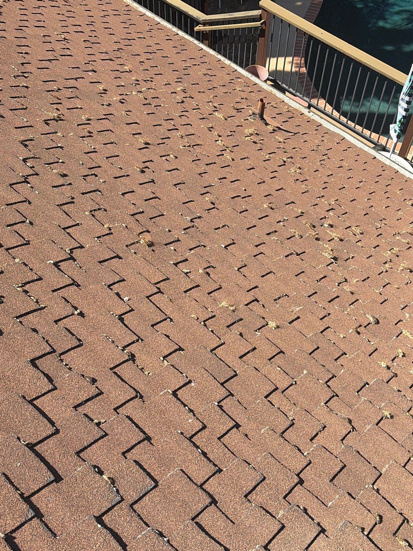 Roof Rejuvenation using Roof Maxx Treatment by Roof Maxx of Folsom