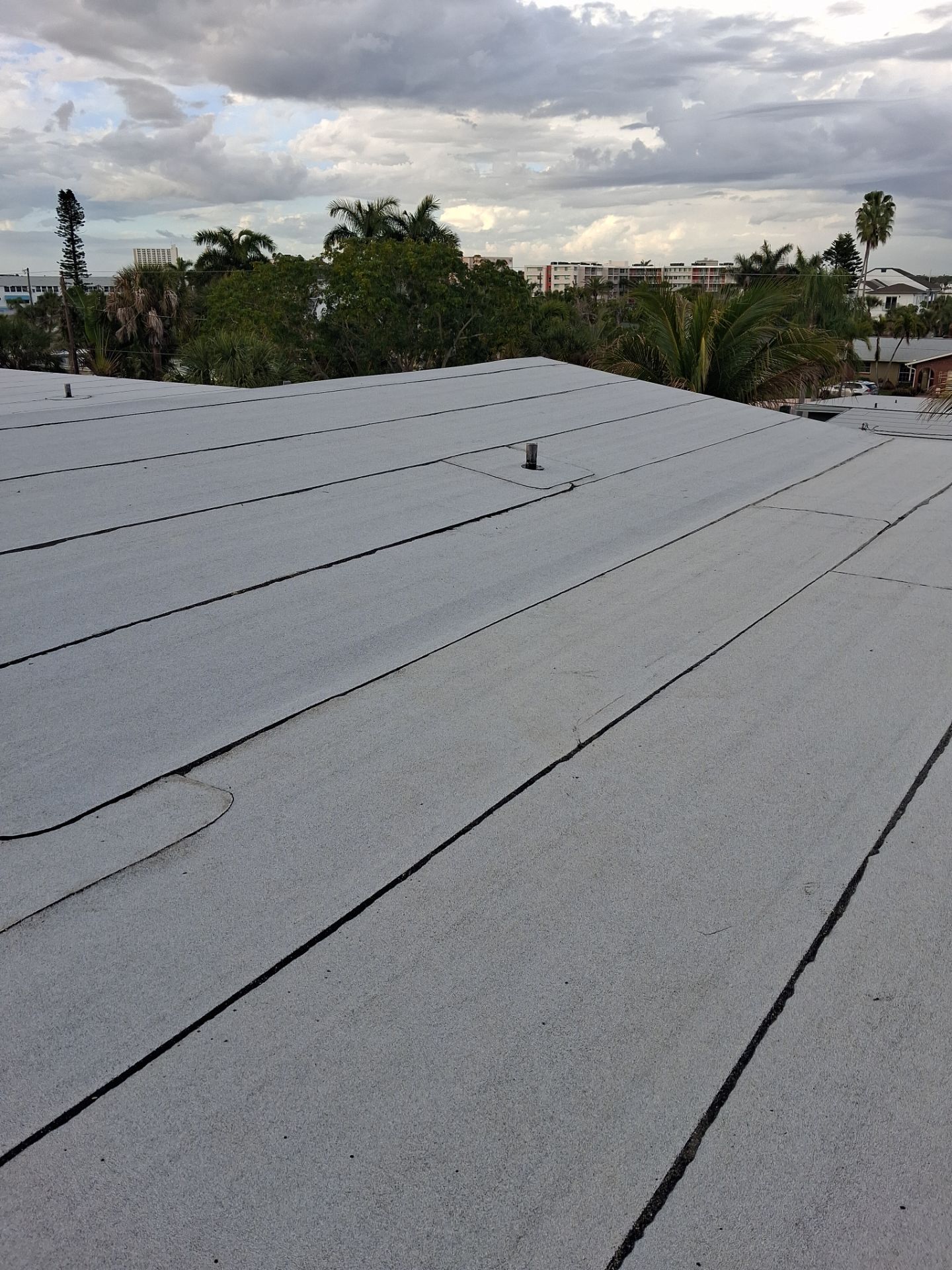 Project in South Pasadena 33707 by Mitchell Roofing Company LLC 