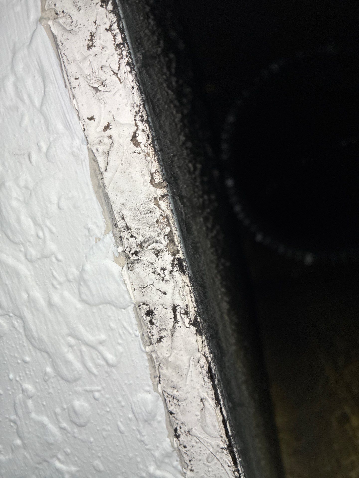 AIr Duct Cleaning in Clermont by Hygienic Air, Inc