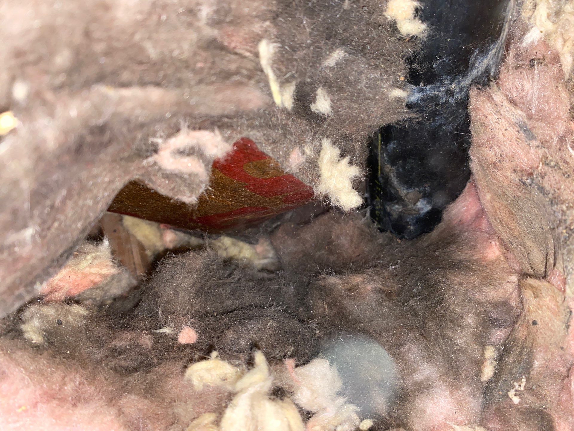 Remediate attic mold and make Coraopolis Pa home more comfortable year round. by Home Environment Solutions