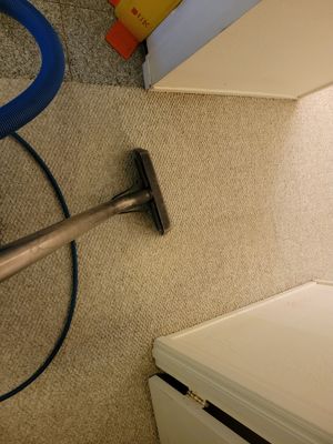 Annual, Home Carpet Cleaning