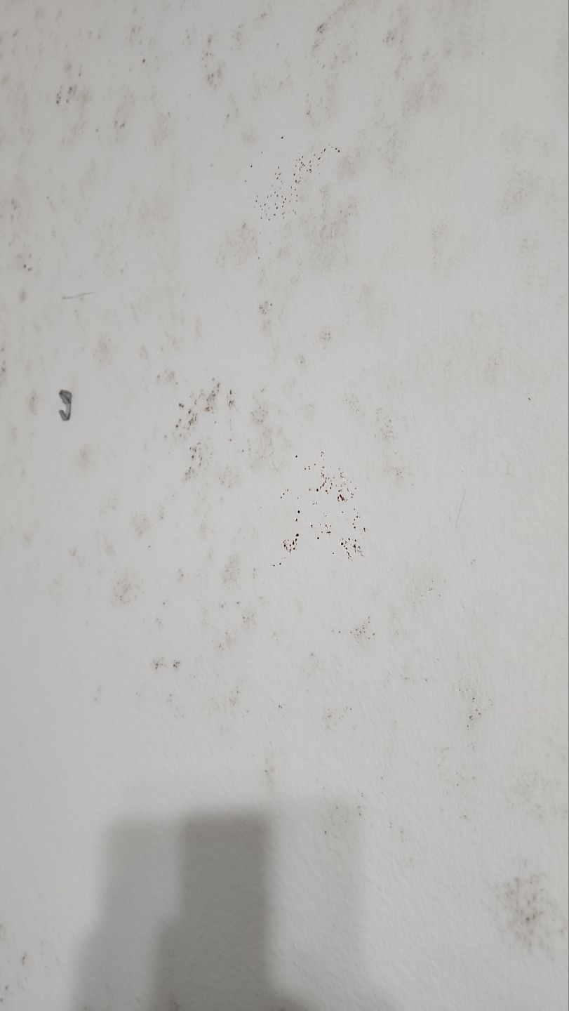 Mold Assessment using IR Camera, Moisture Meter, Air Cassette samples and Tape lifts by Building performance Solutions LLC