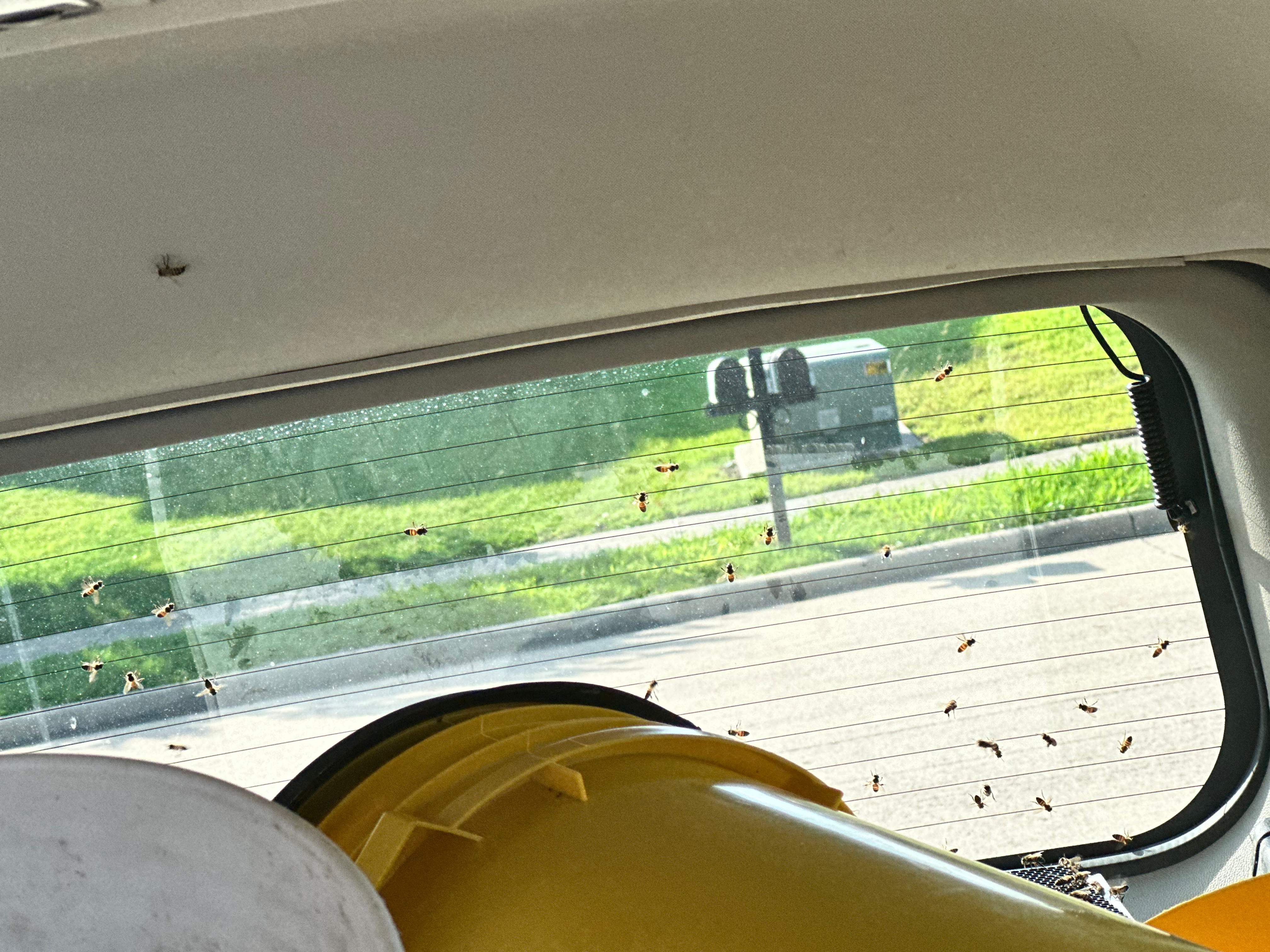 Irrigation Box by Rockwall Honey Bee Company