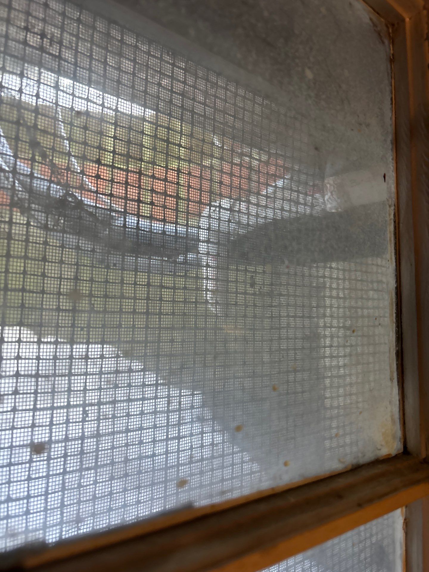 Frozen Condensate Line Repair — Swampscott, MA.  by FAGONE MECHANICAL