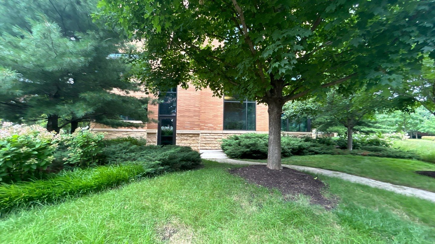 natural stone using Algaecide, soft wash soap by Northern Power Washing LLC.
