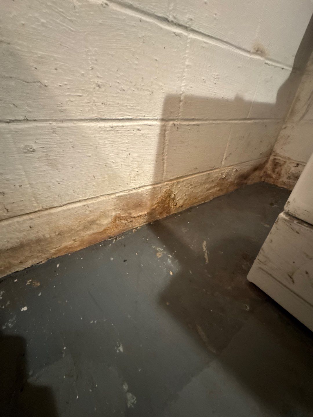 Sump Pump & Exterior Drainage in St. Paul, MN by Waterproofing Northeast