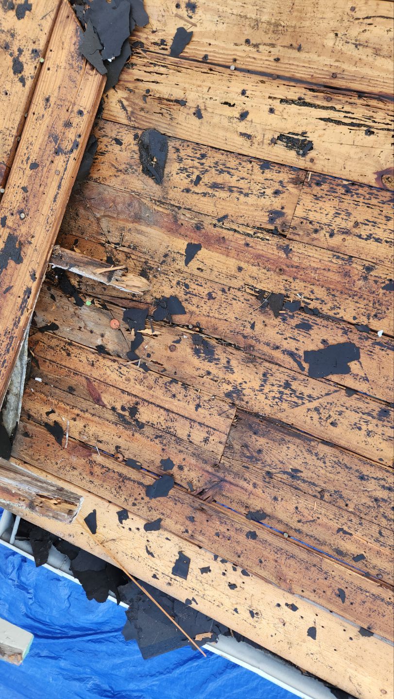 Project in St. Petersburg 33711 by Mitchell Roofing Company LLC 