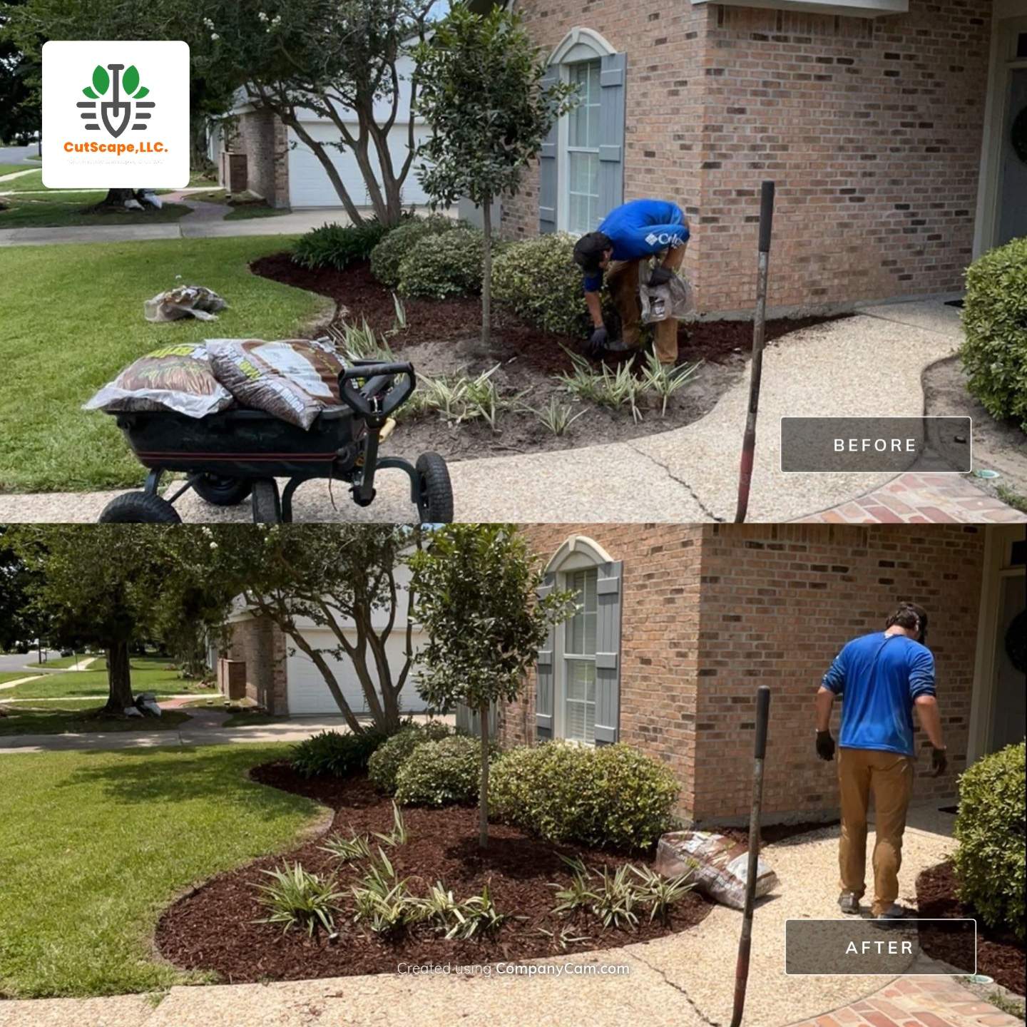 CutScape,LLC. featured photo.