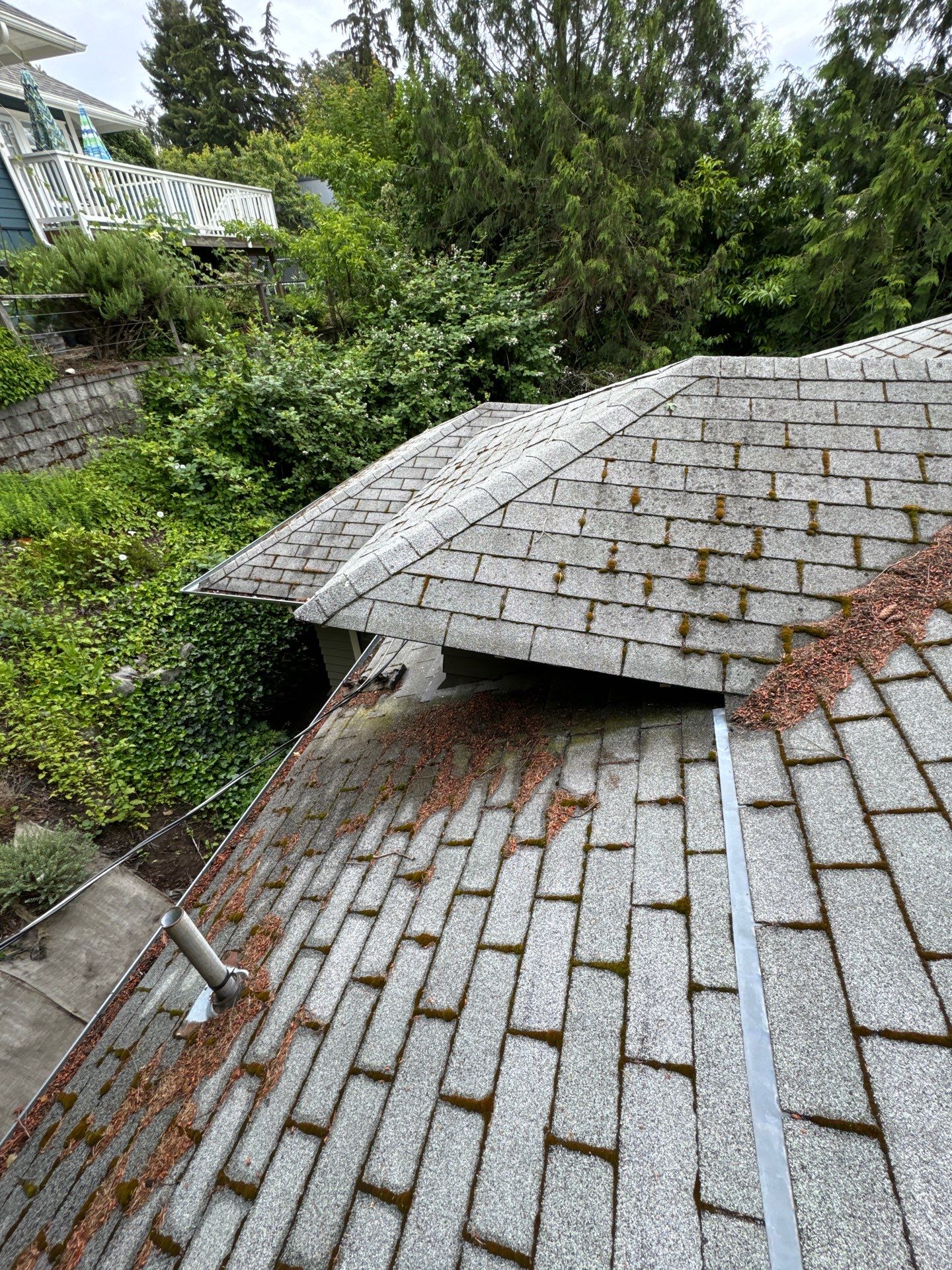 Project in Seattle by Peaks and Valleys Construction