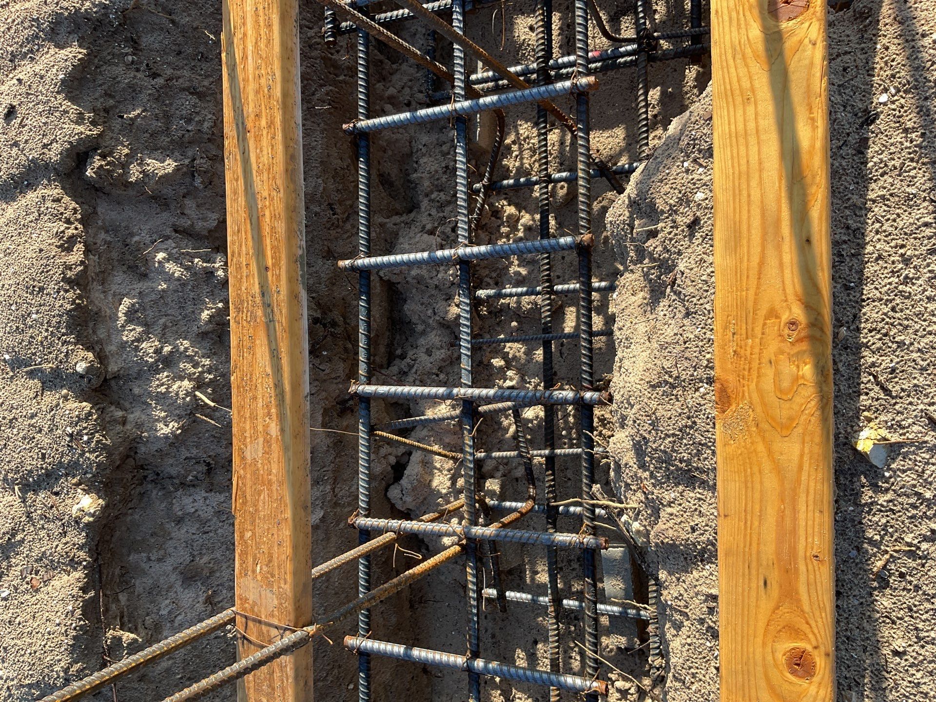 TRACTOR SUPPLY NAPLES by Southern Gulf Construction