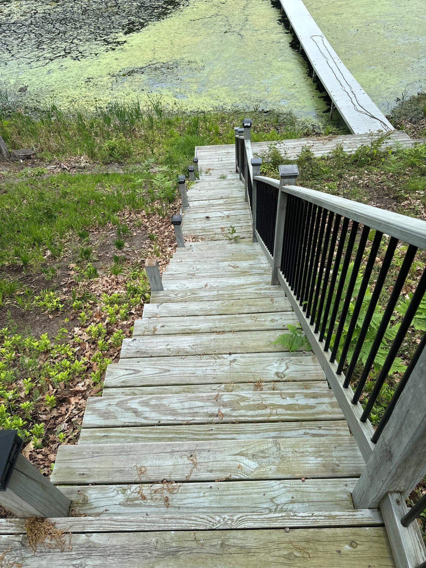 Exterior Deck using solid stain by Gordon Painting