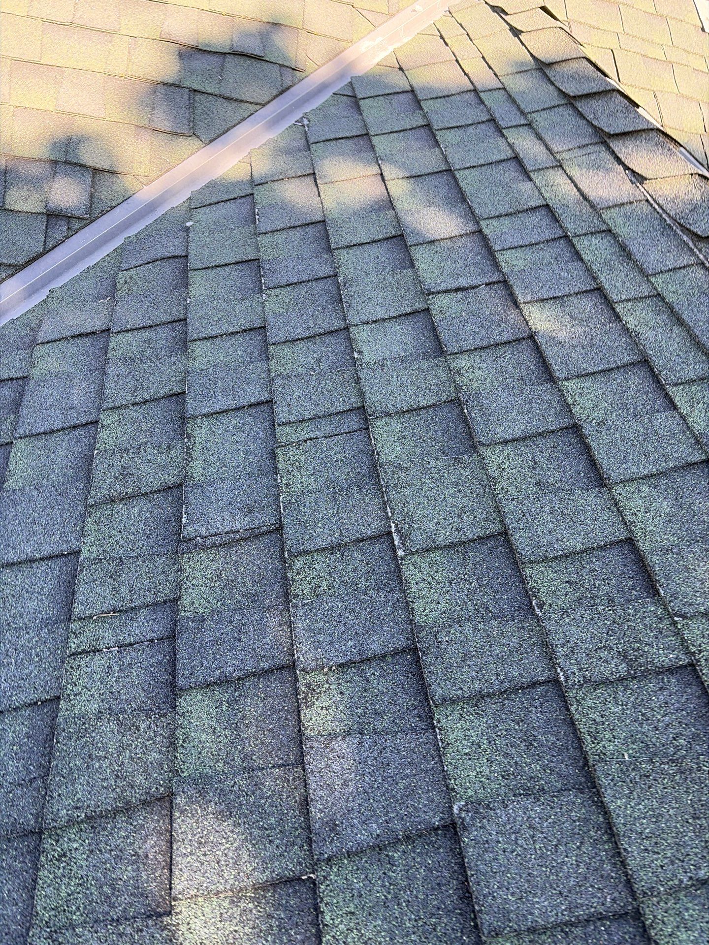 Roof Rejuvenation using Roof Maxx Treatment by Roof Maxx of Folsom