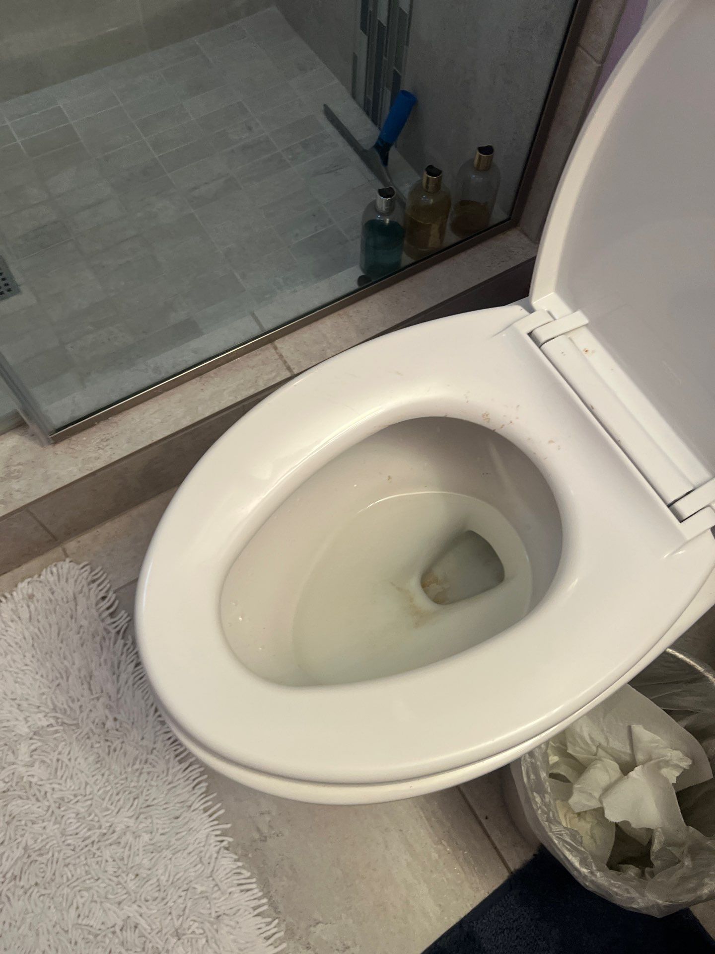 Home Claening Project in Lake Oswego by Cloud 9 Professional Cleaning Services