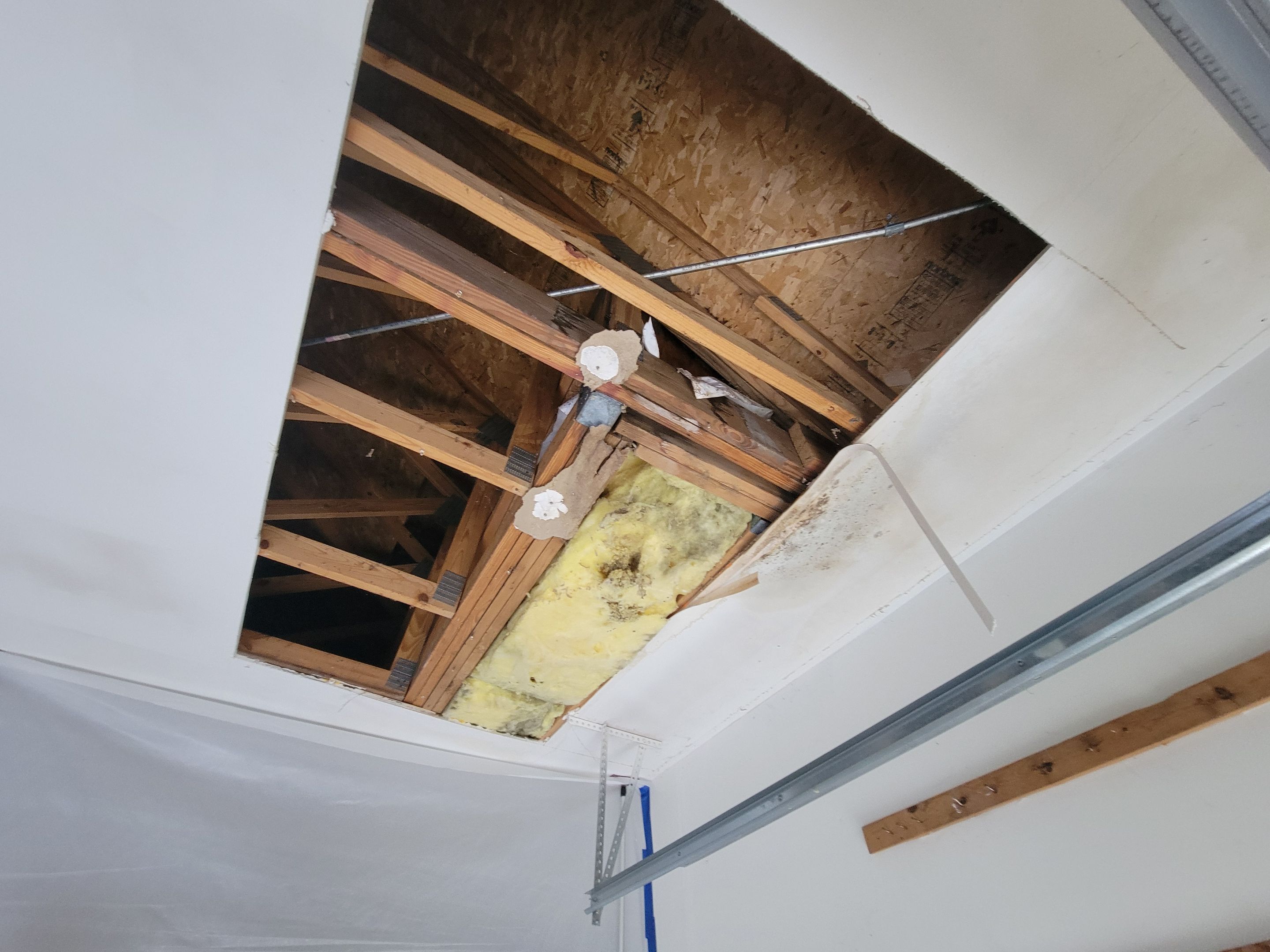 Garage Ceiling Water Damage/Mold Remediation by Chicagoland Water Medics