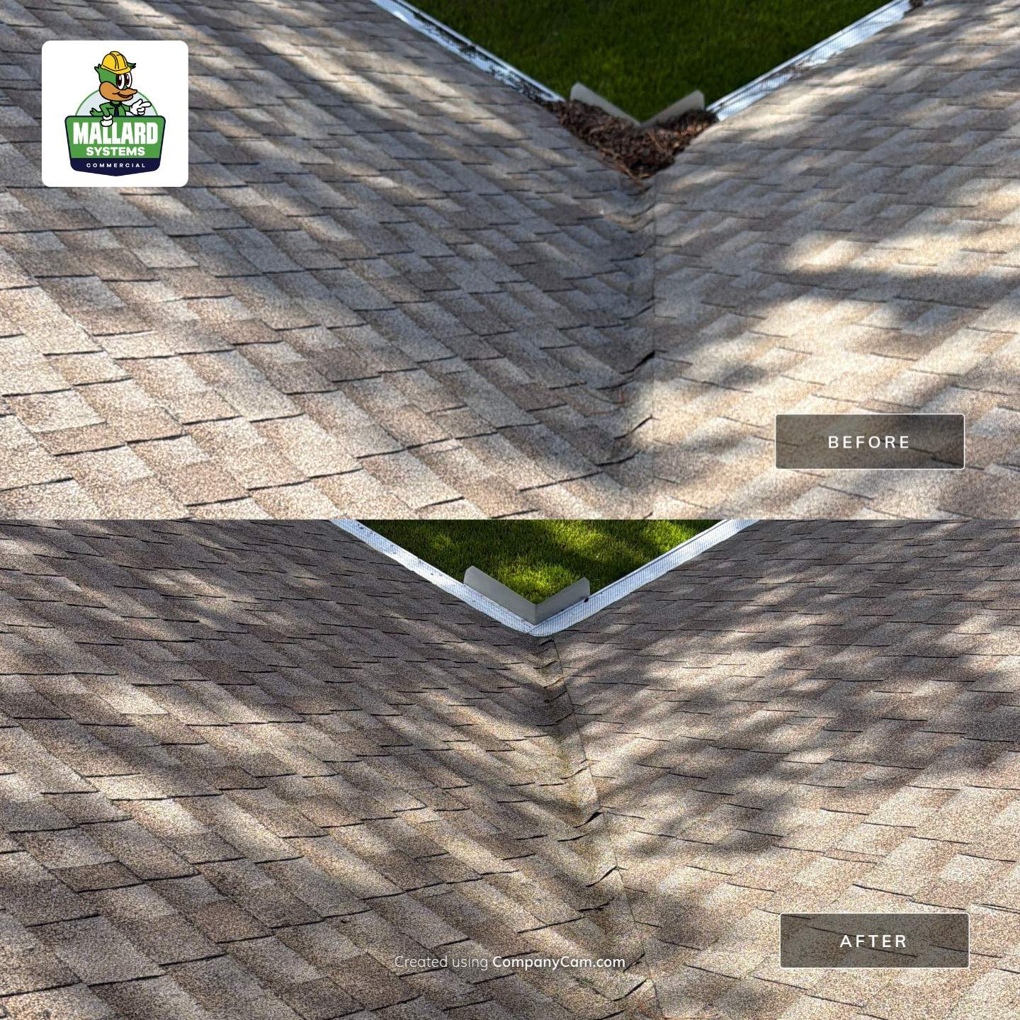 Residential Exterior House Wash and Roof Cleaning in Altamonte Springs by Mallard Systems