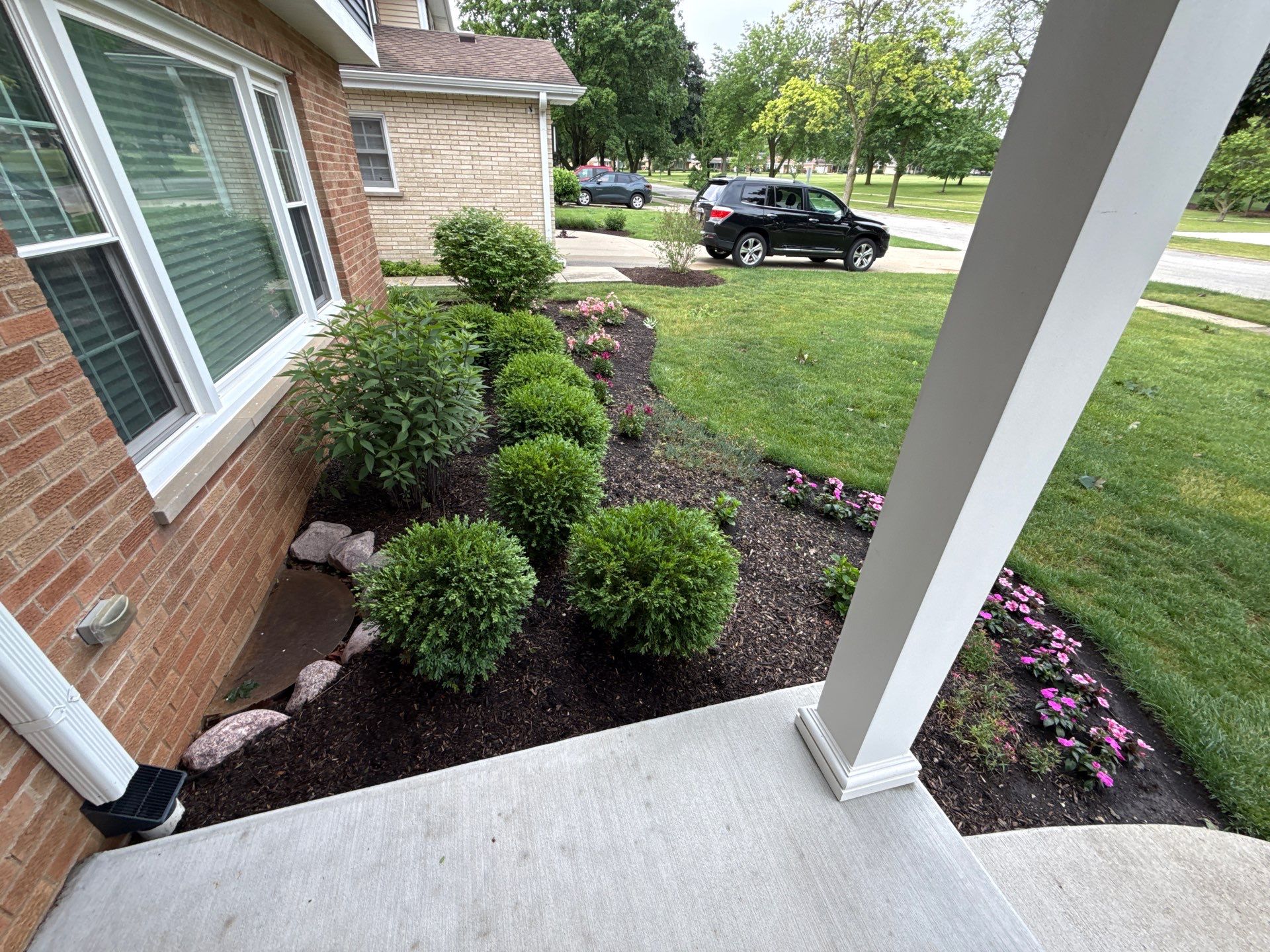 Clay U. - Arlington Heights, IL by A&N 